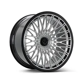 S21-09 Carbon