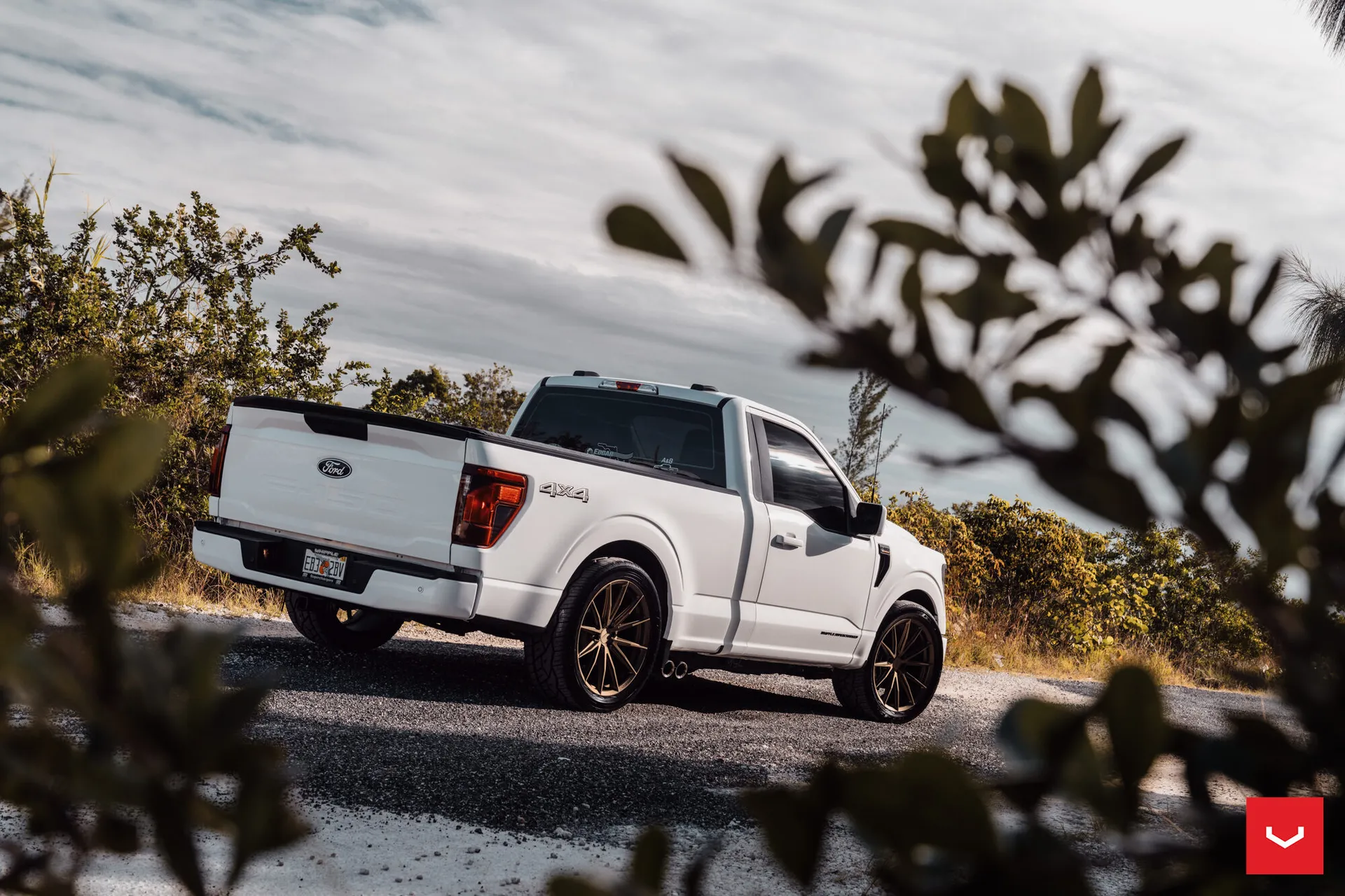 Ford F-150, 3