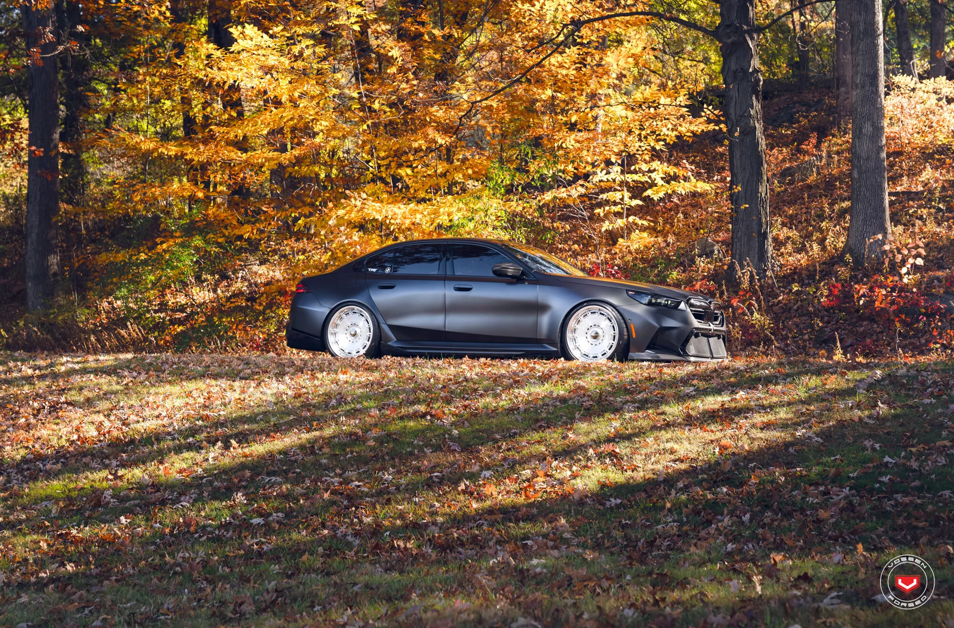 BMW 5 Series / M5, 22