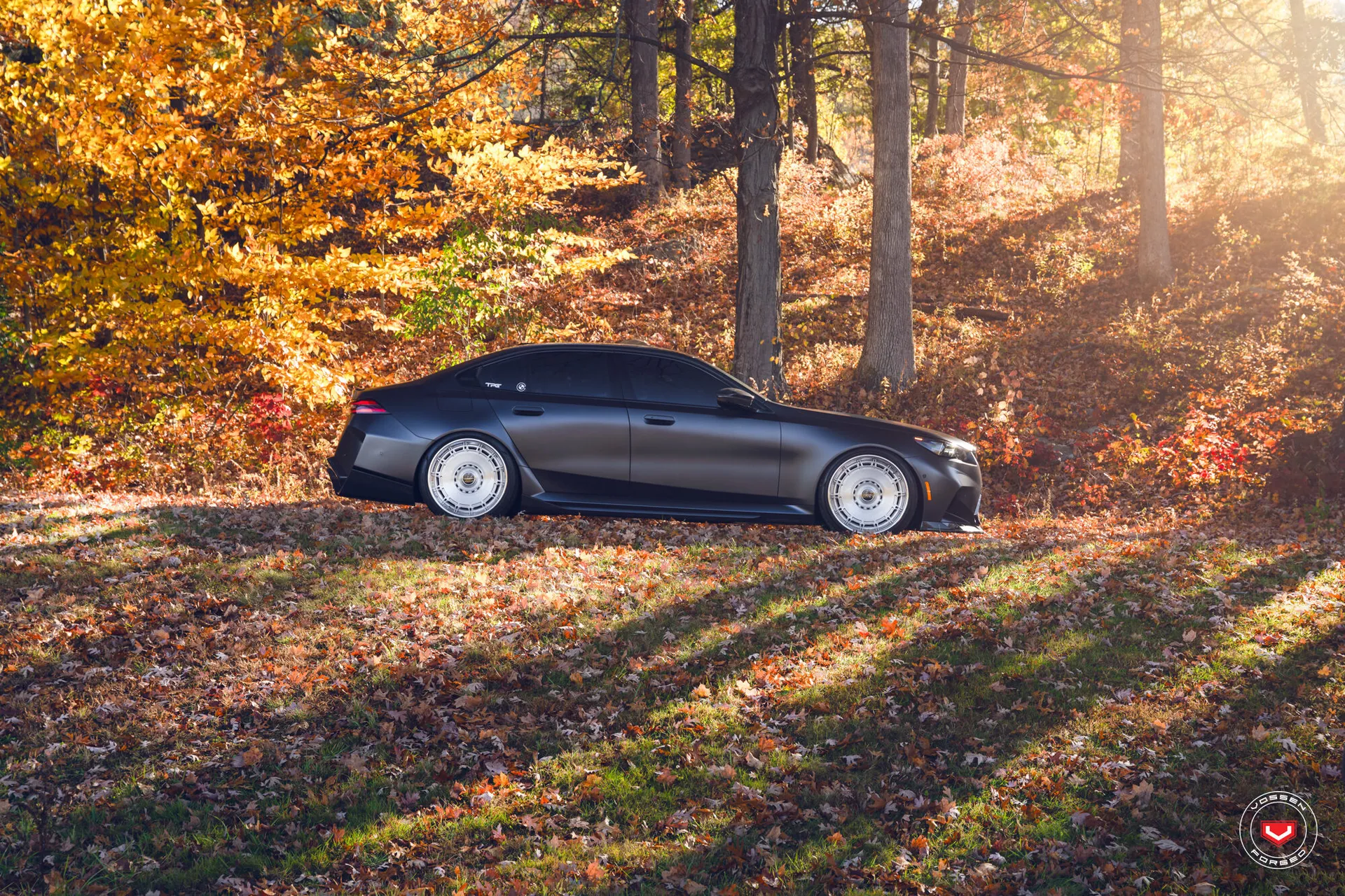 BMW 5 Series / M5, 19