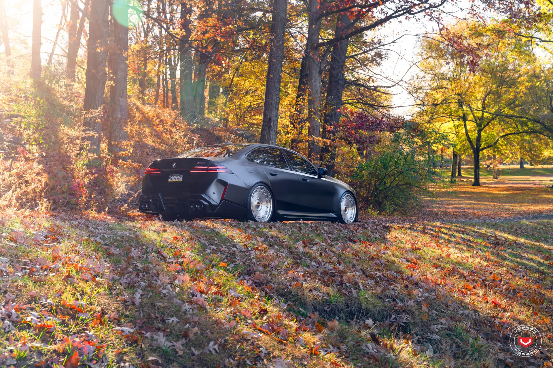 BMW 5 Series / M5, 18