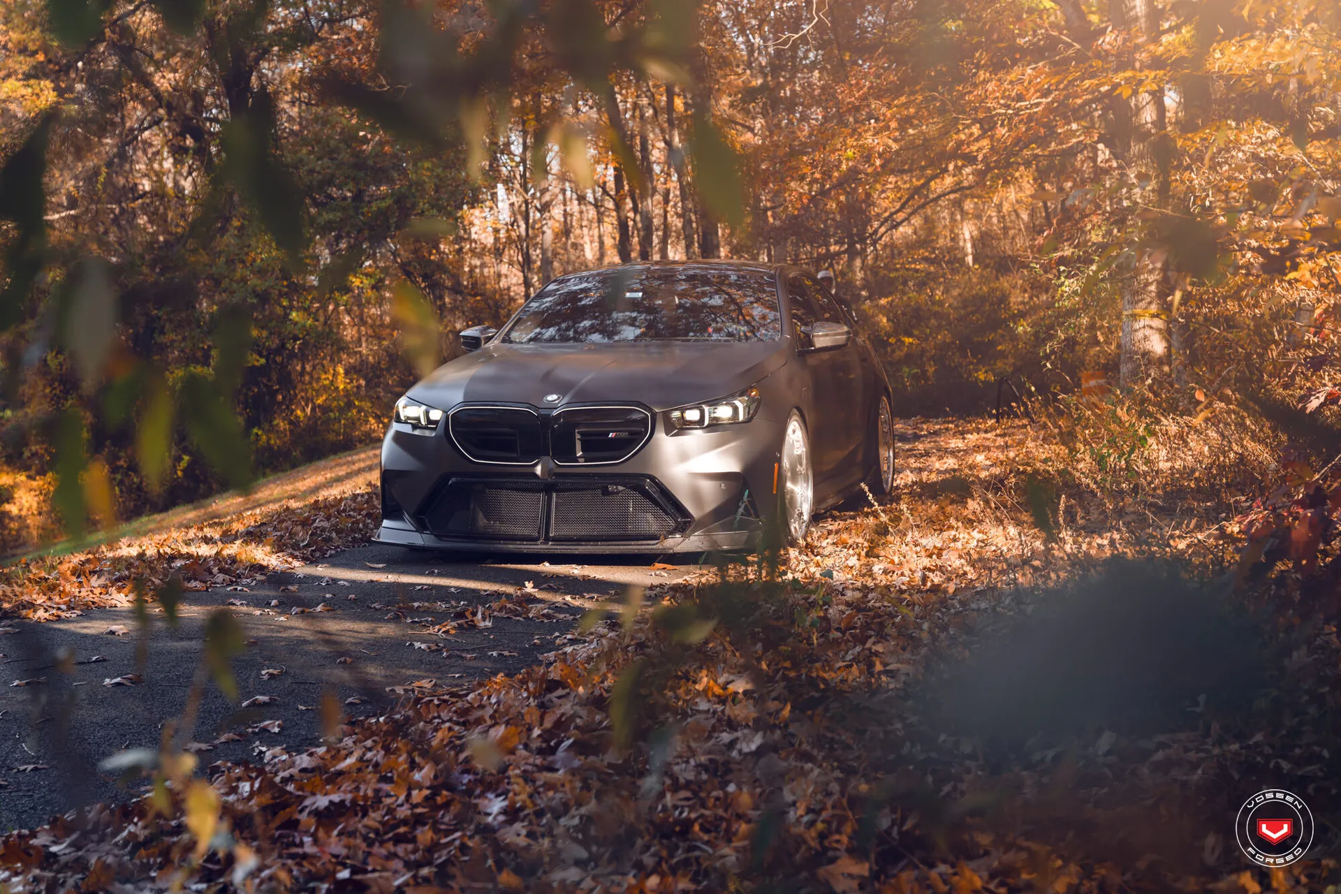 BMW 5 Series / M5, 17