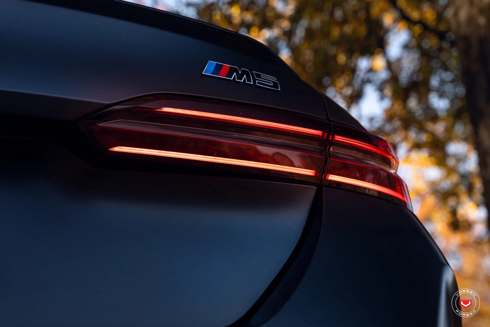 BMW 5 Series / M5, 11