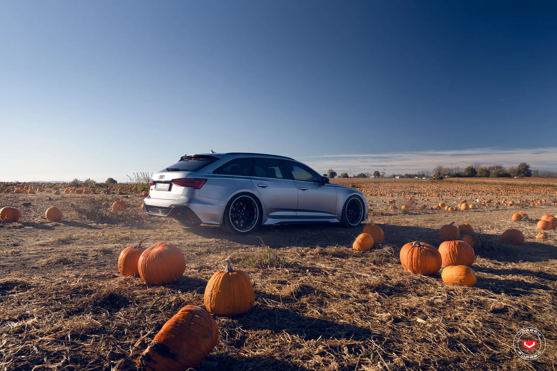 Audi A6 / S6 / RS6, 5