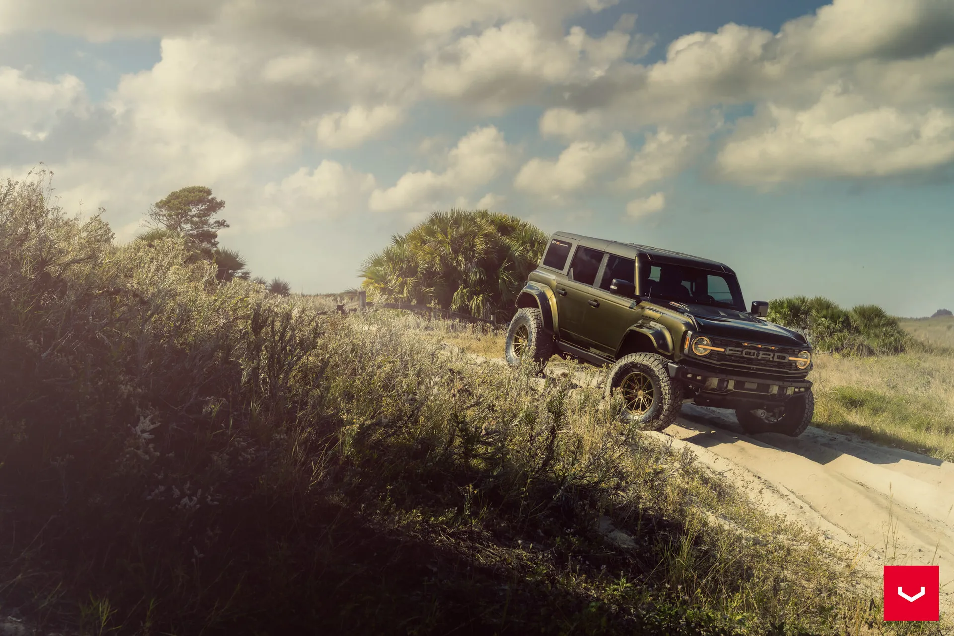 Ford Bronco, 10