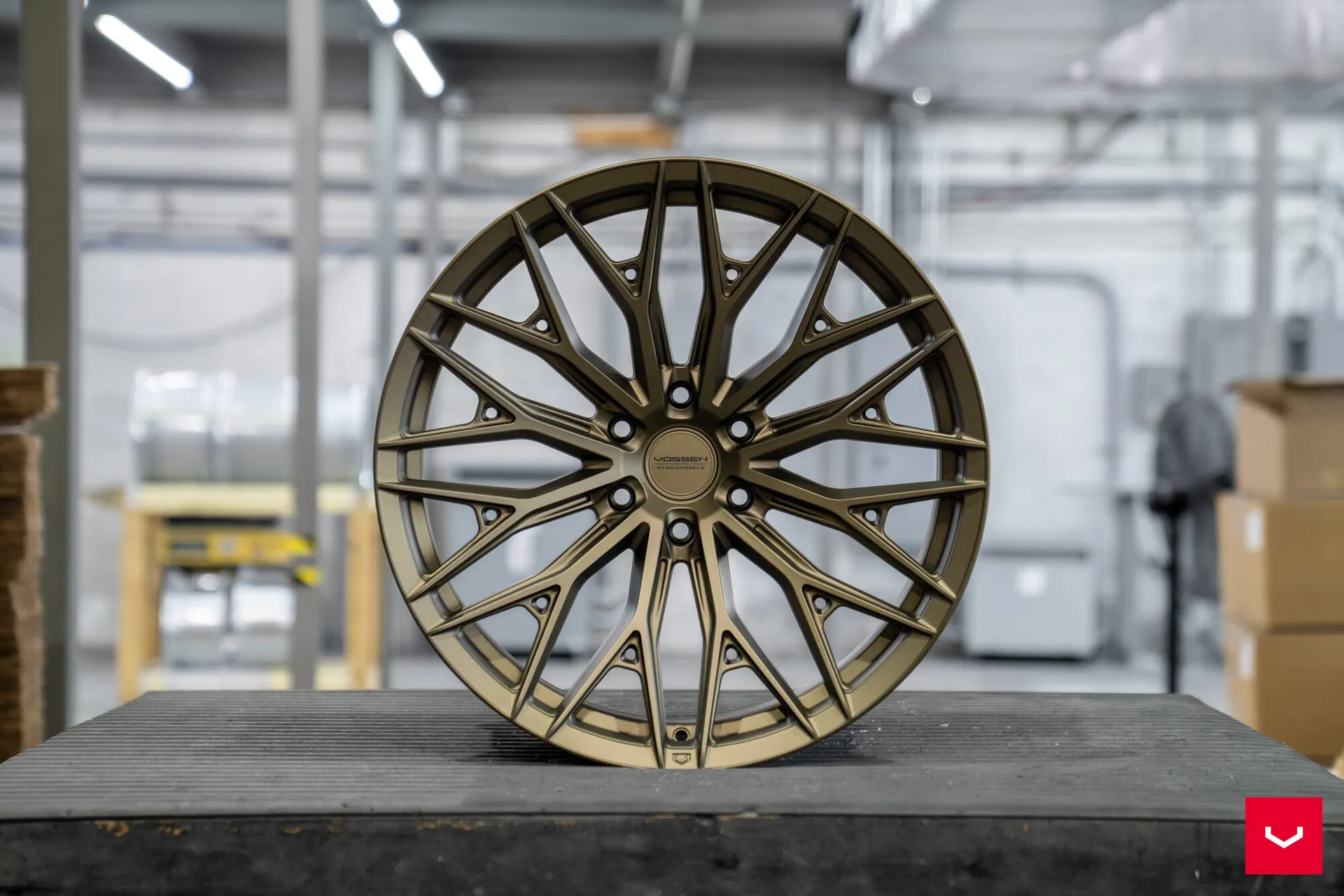 Terra Bronze, 20
