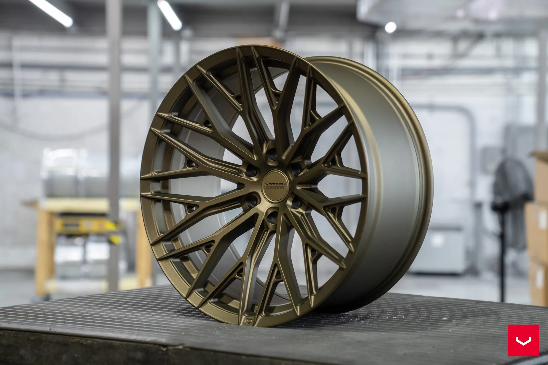 Terra Bronze, 11