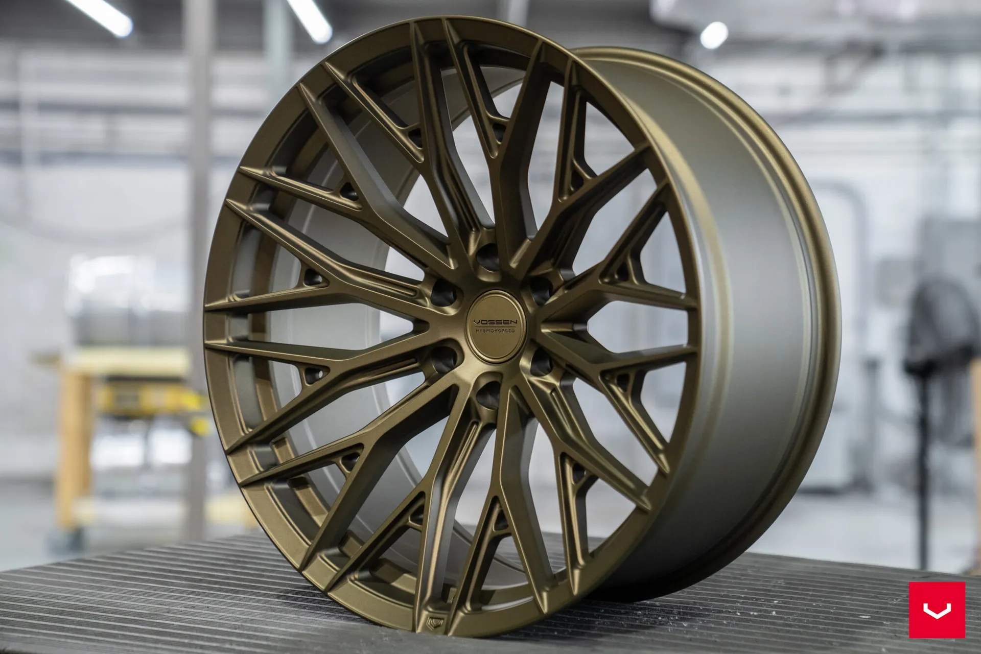 Terra Bronze, 10