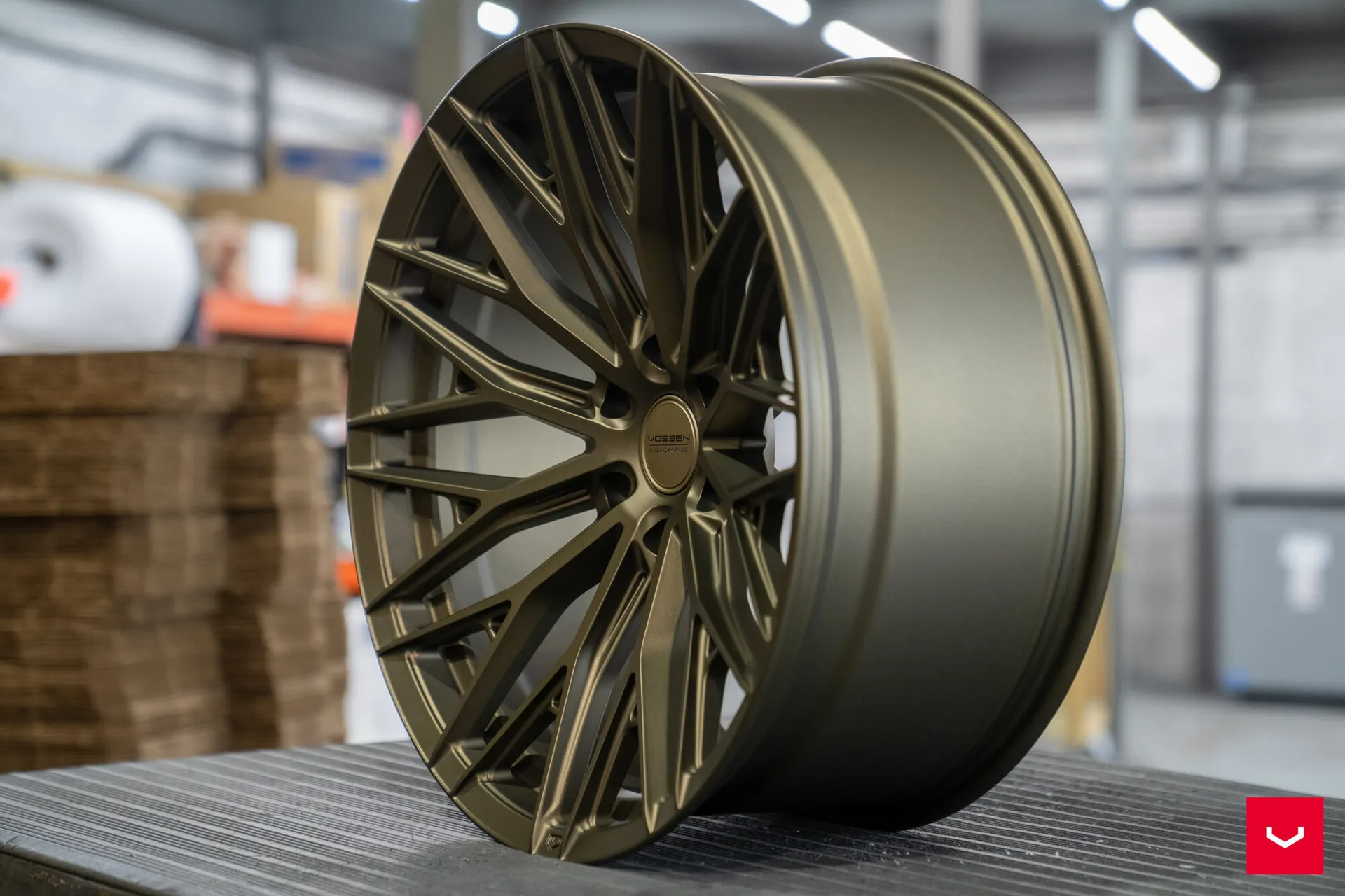 Terra Bronze, 8