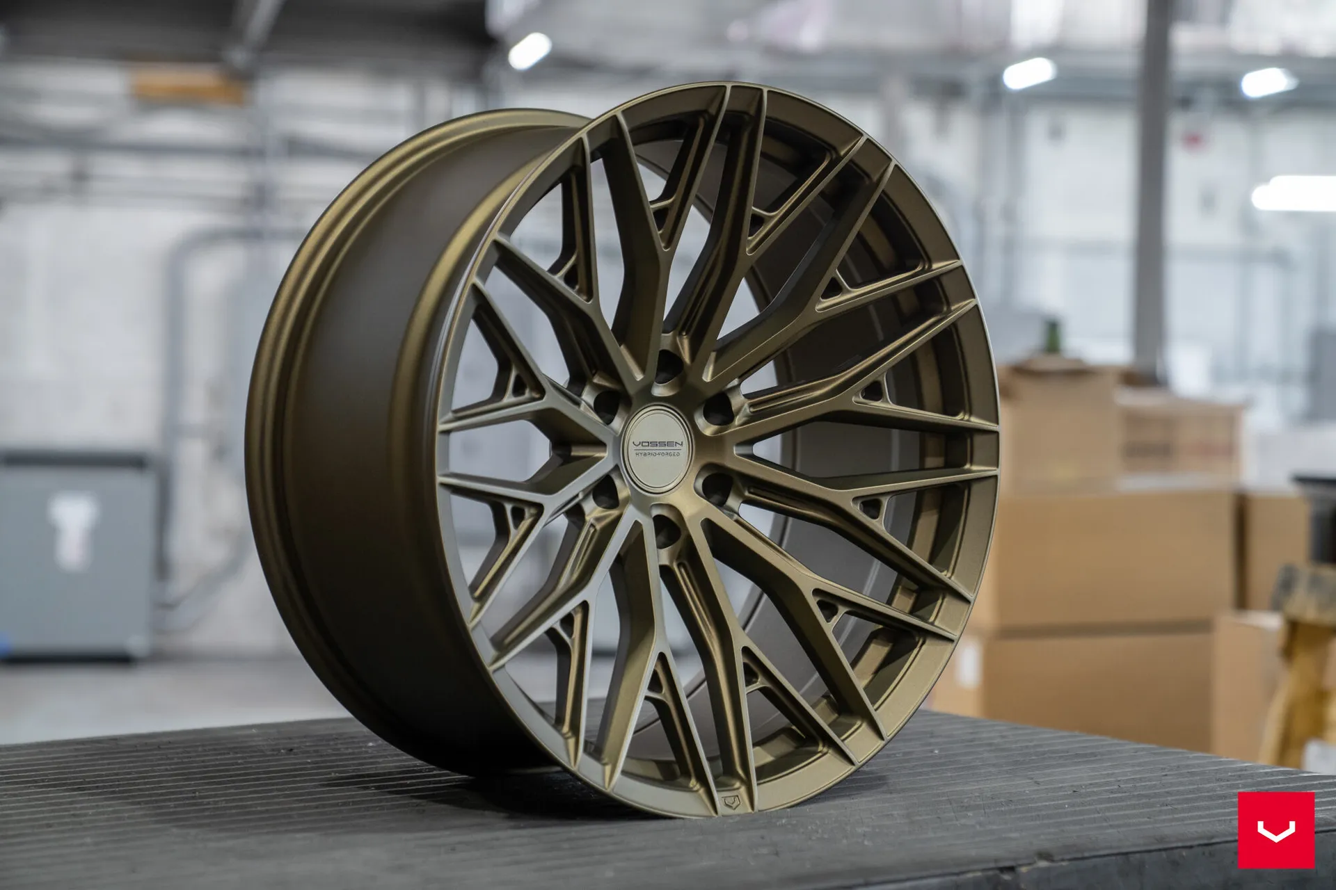 Terra Bronze, 6