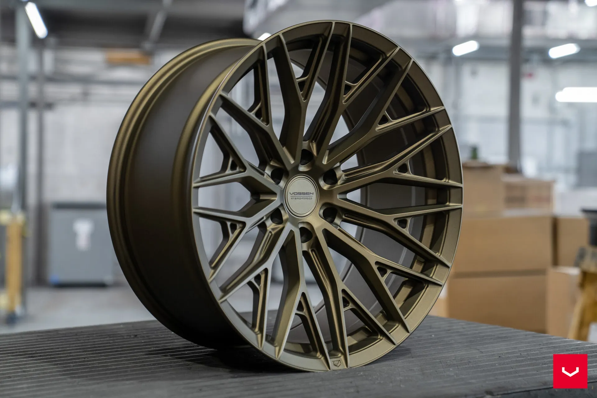 Terra Bronze, 5