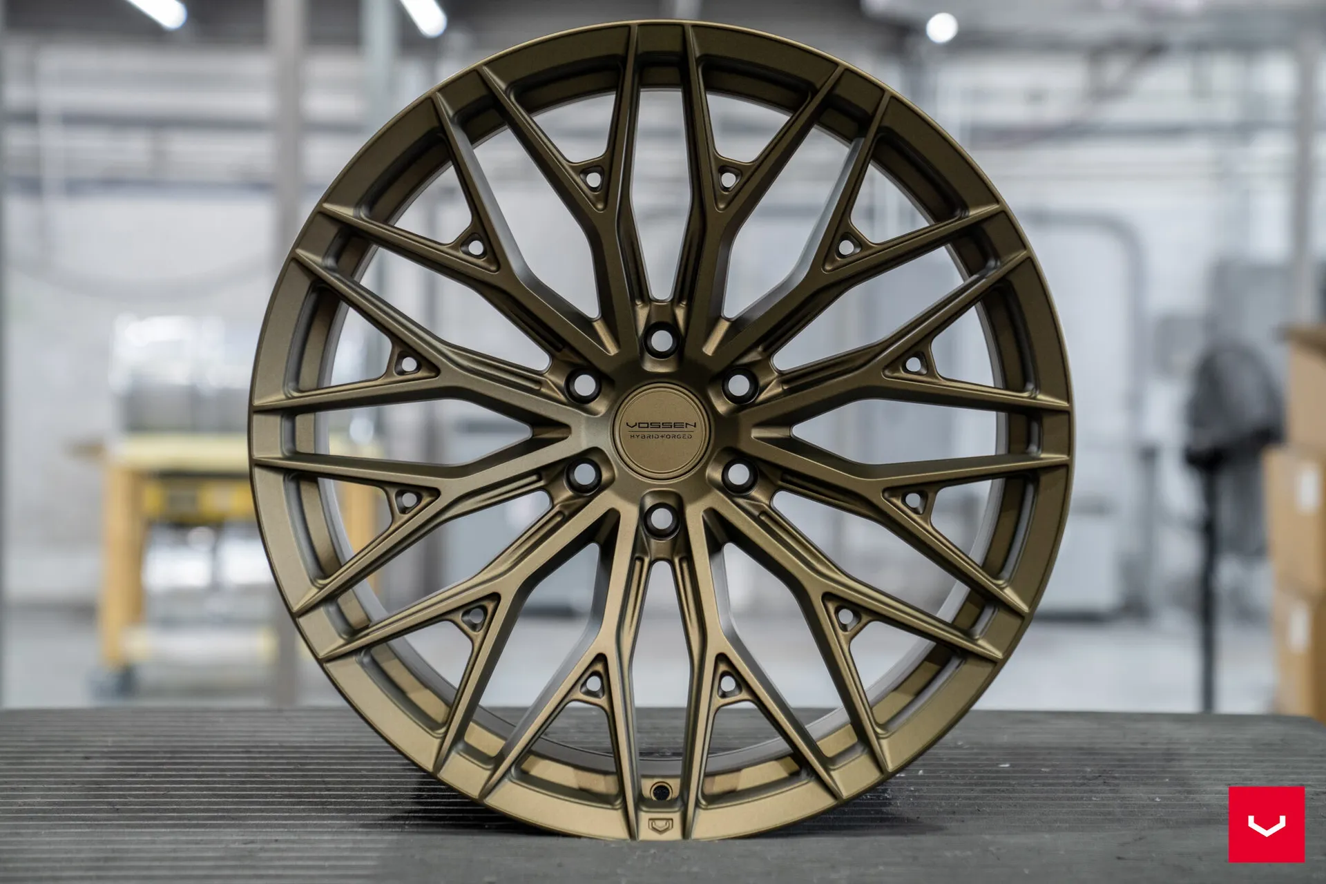 Terra Bronze, 19