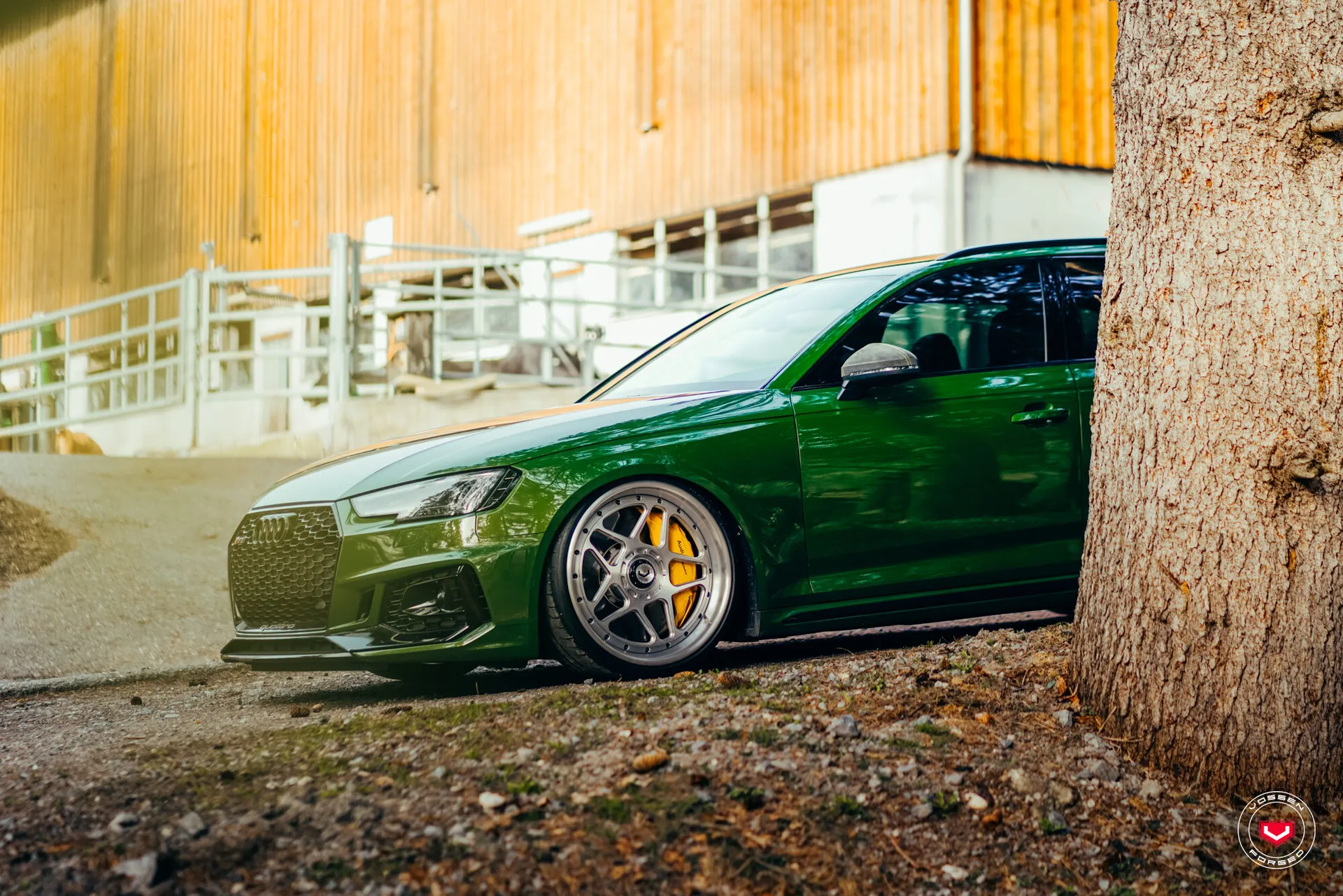 Audi A4 / S4 / RS4, 5