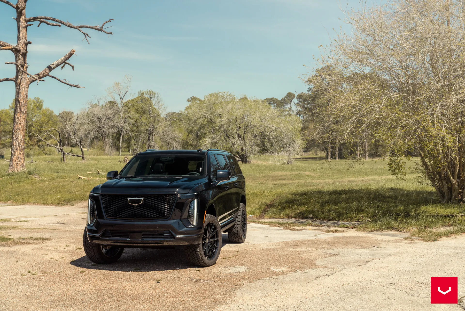 Cadillac Escalade, 6