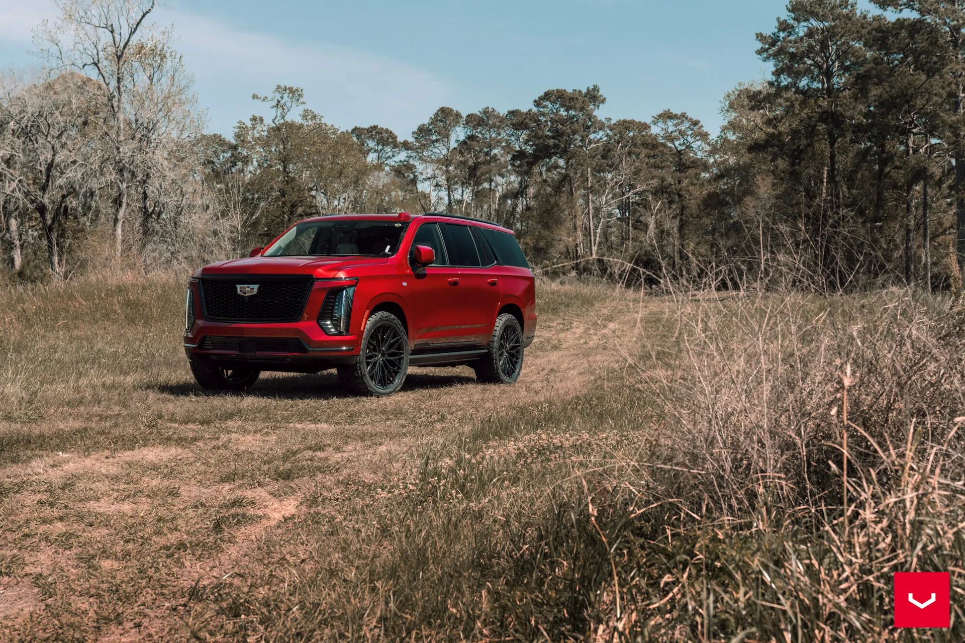 Cadillac Escalade, 6