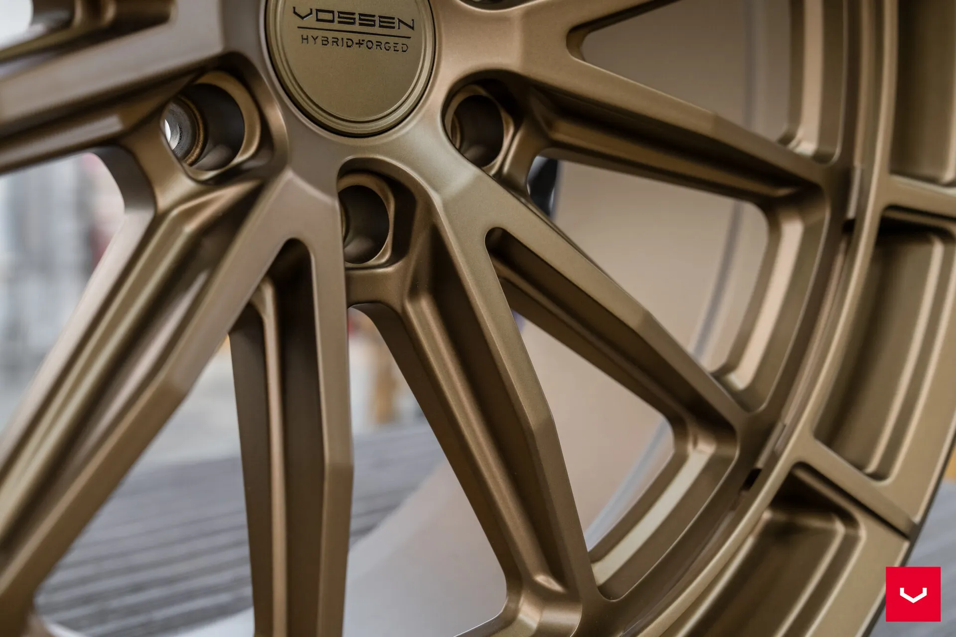 Terra Bronze, 8