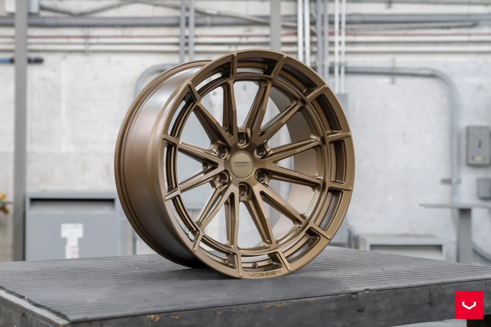 Terra Bronze, 7