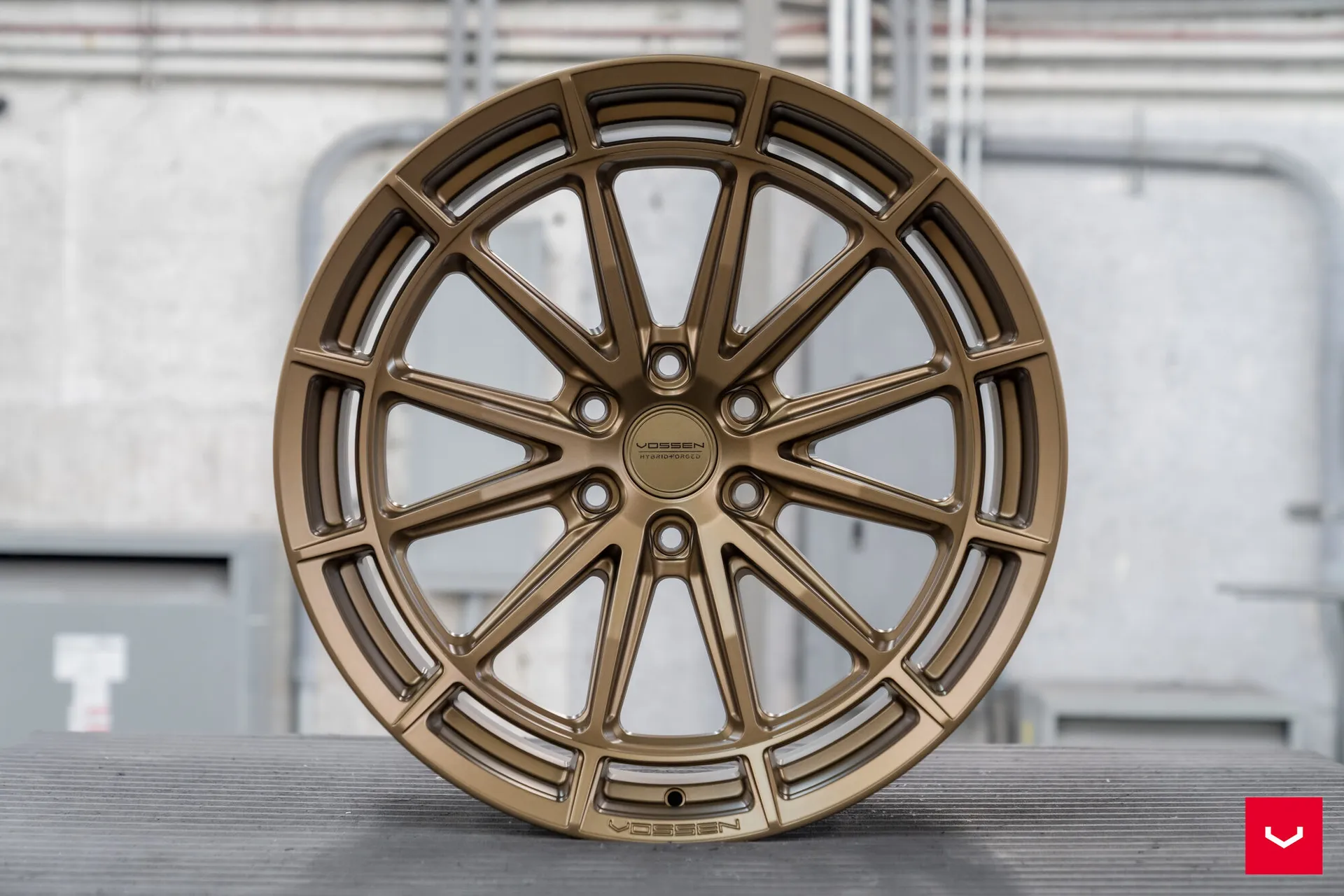 Terra Bronze, 24