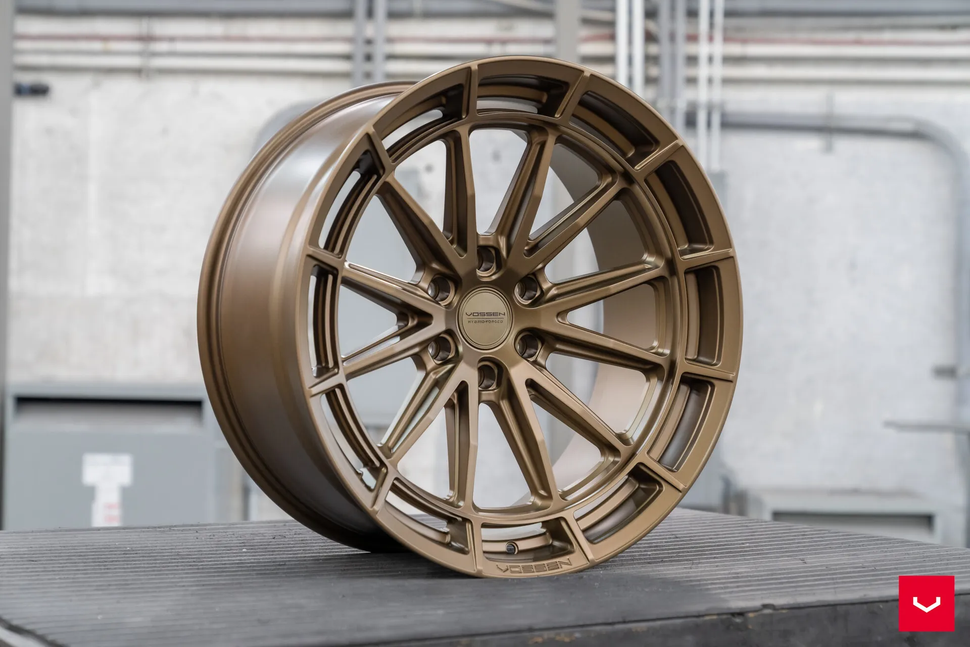 Terra Bronze, 6
