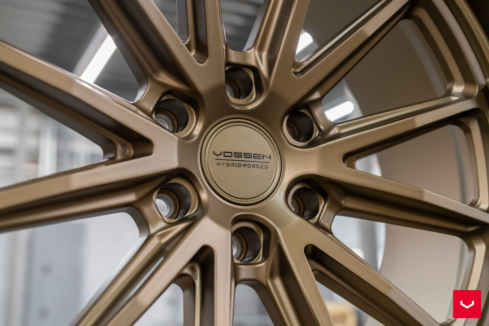 Terra Bronze, 21