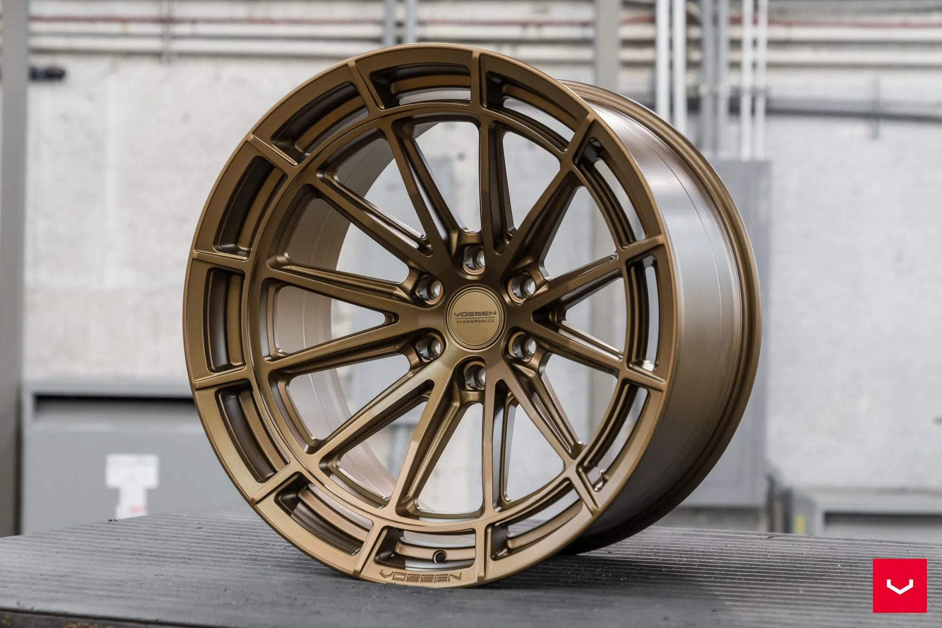 Terra Bronze, 8