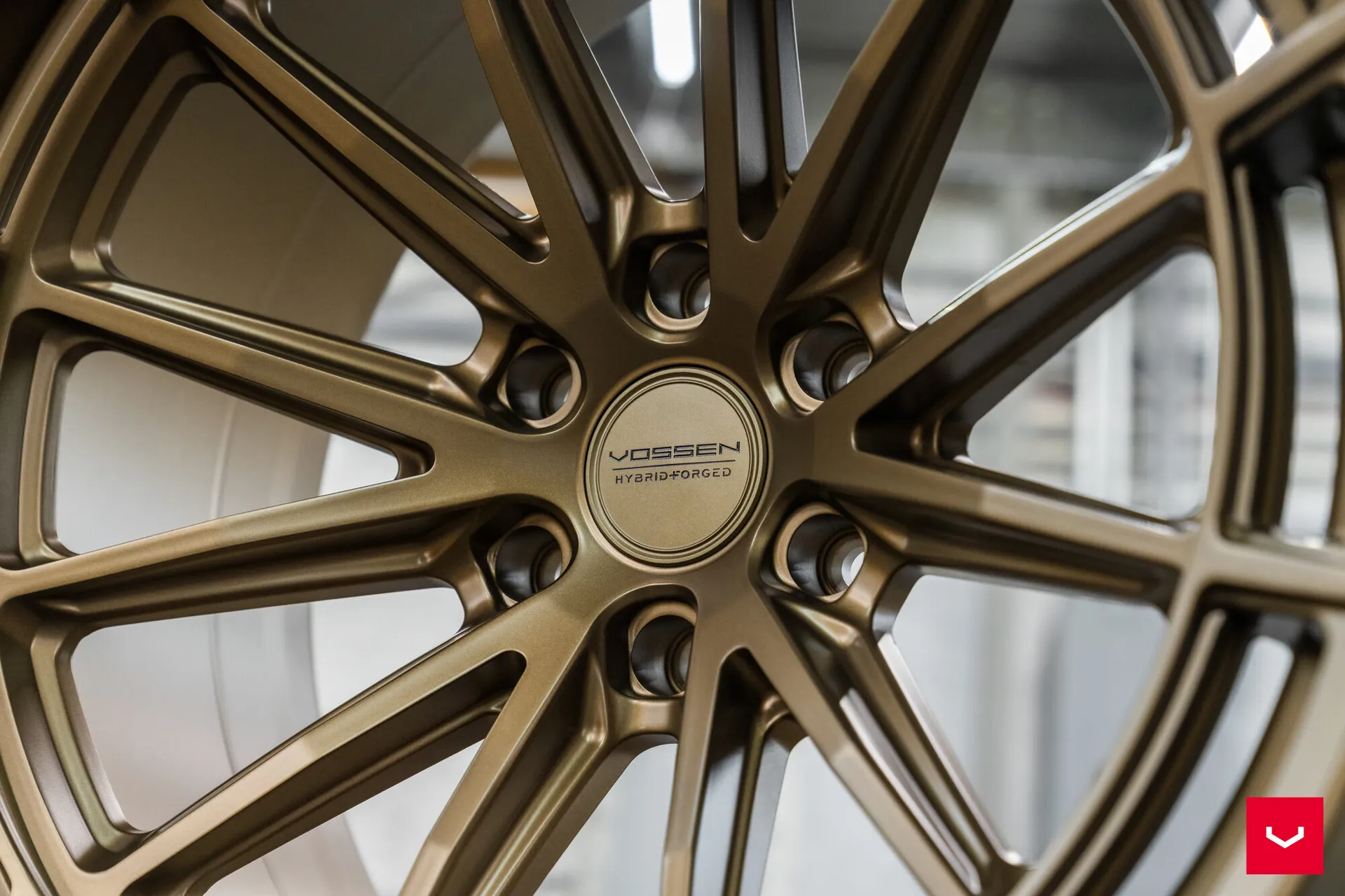 Terra Bronze, 4