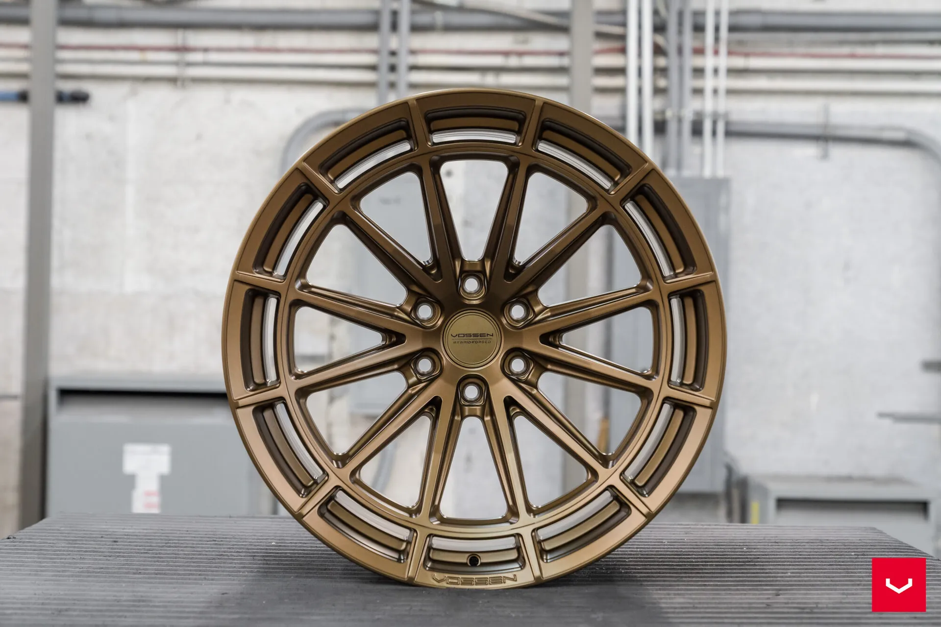 Terra Bronze, 17