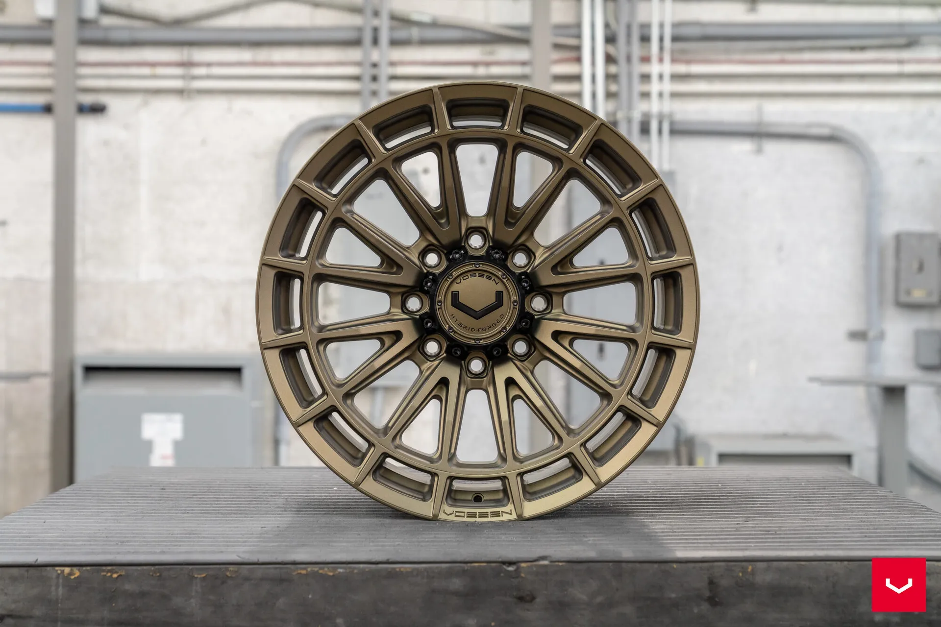 Terra Bronze, 25