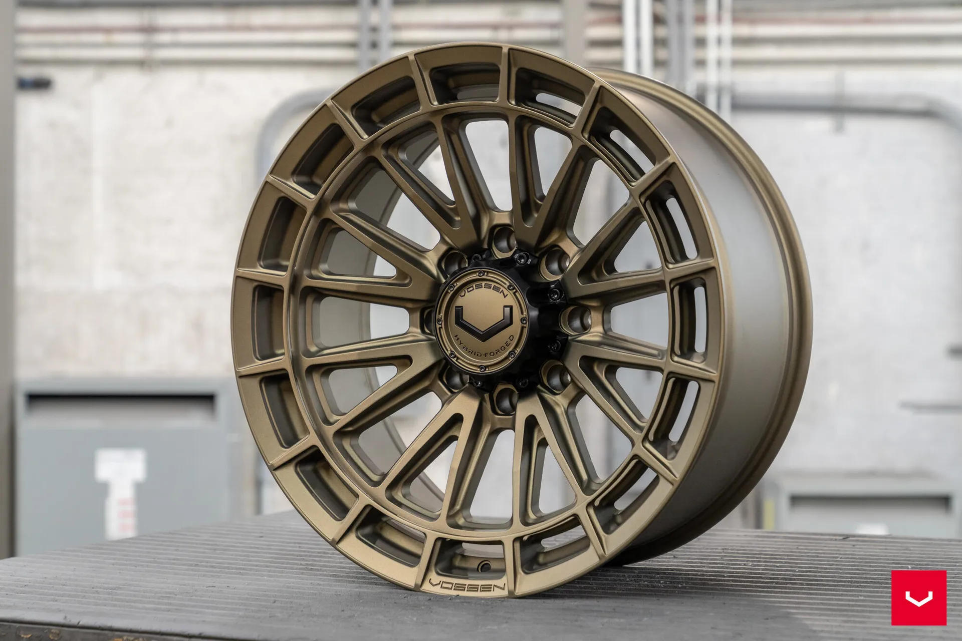 Terra Bronze, 16