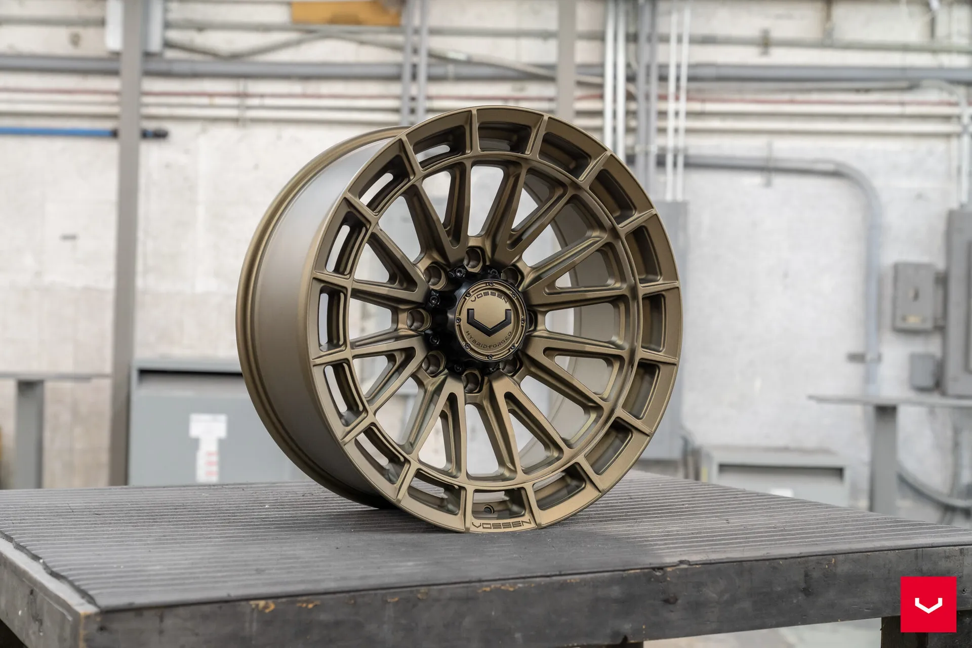 Terra Bronze, 9