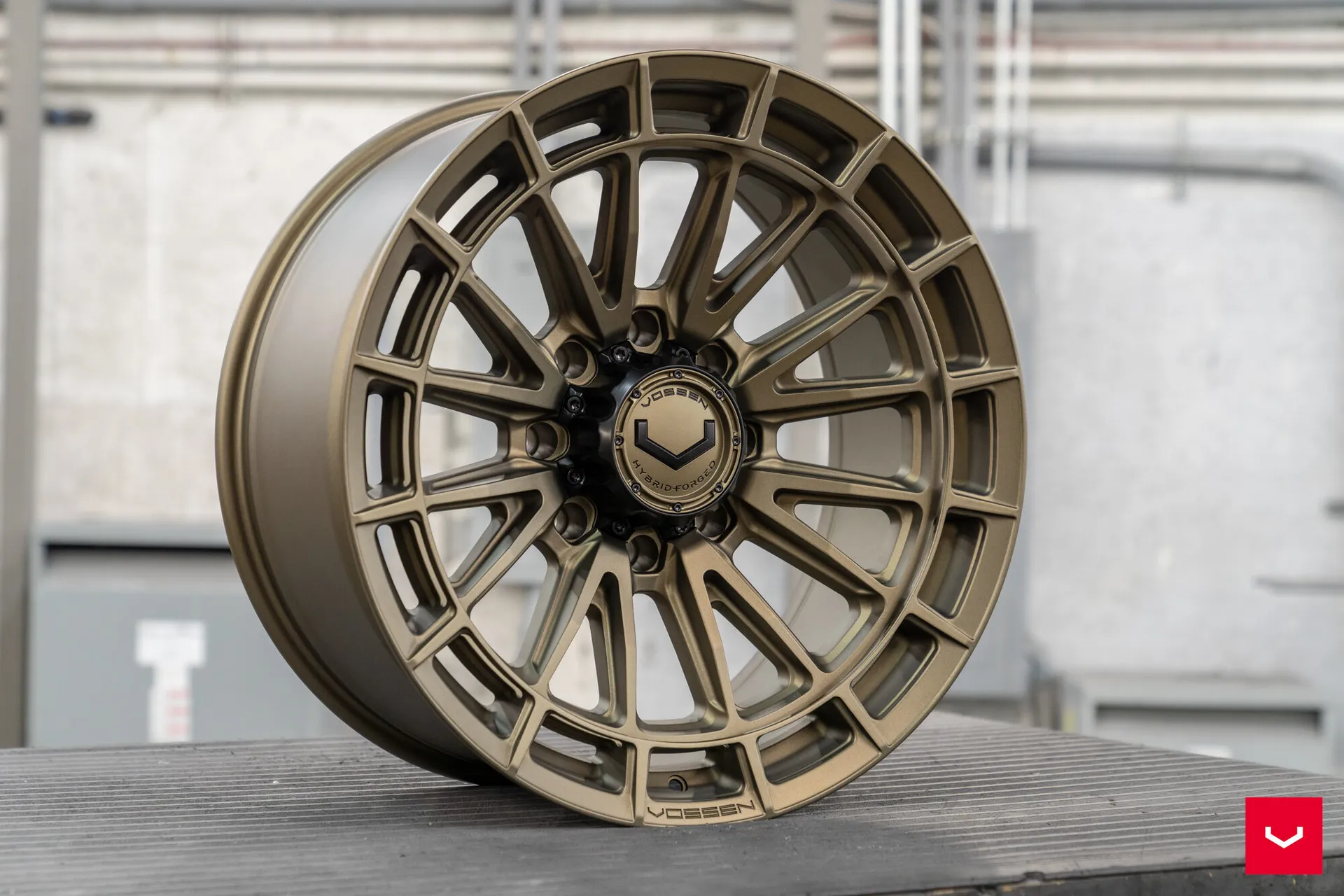 Terra Bronze, 8