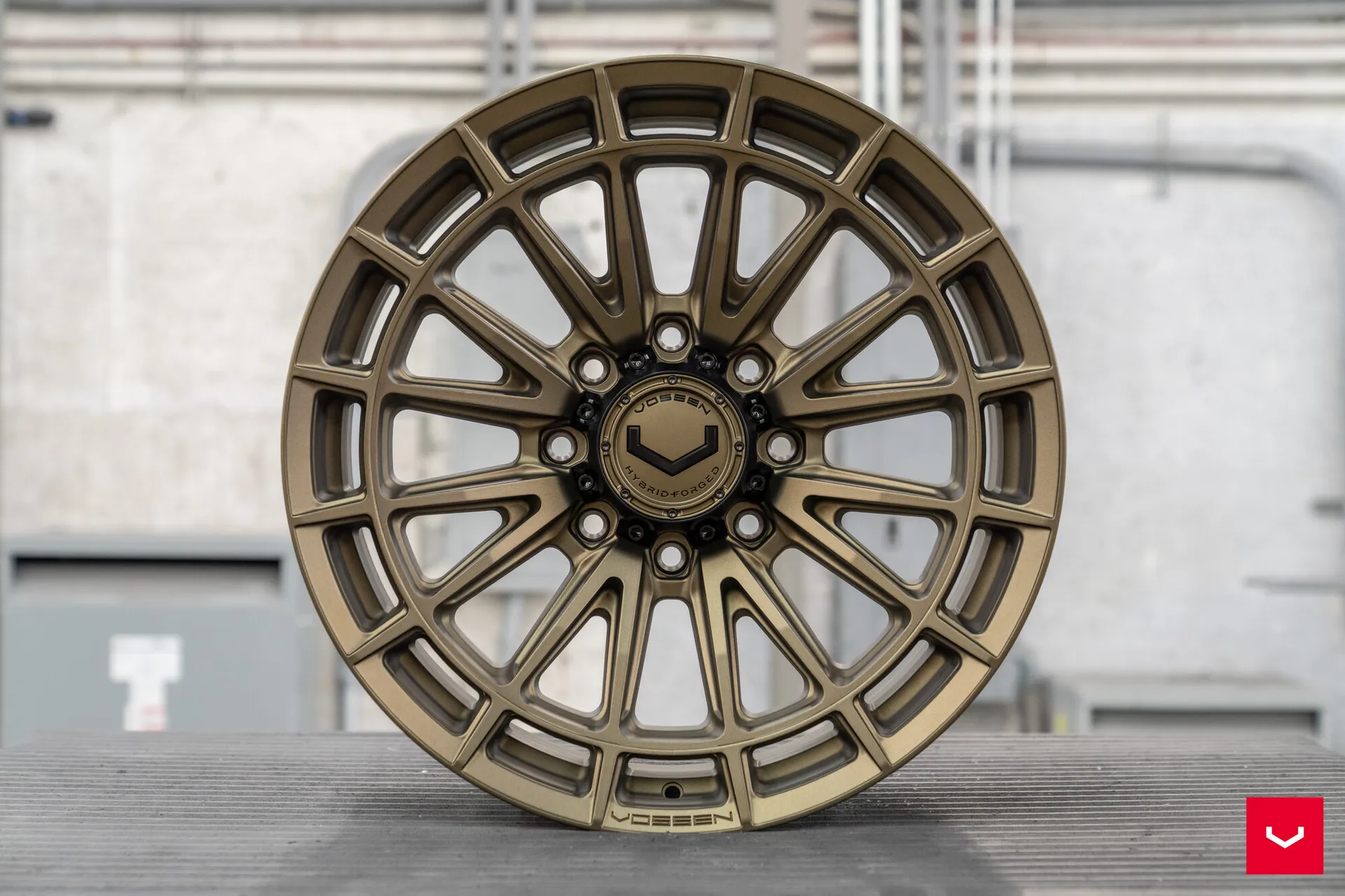 Terra Bronze, 24