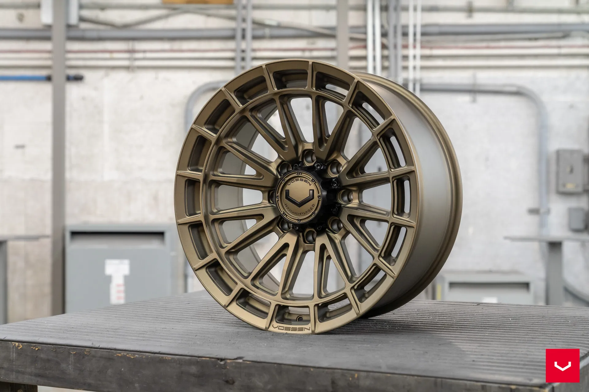 Terra Bronze, 17