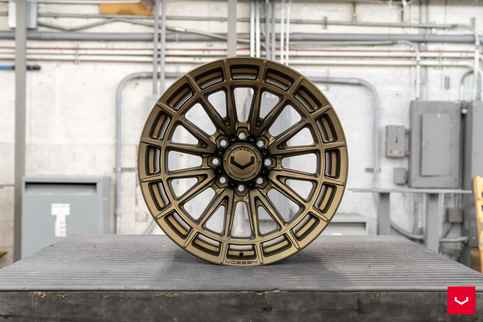 Terra Bronze, 22
