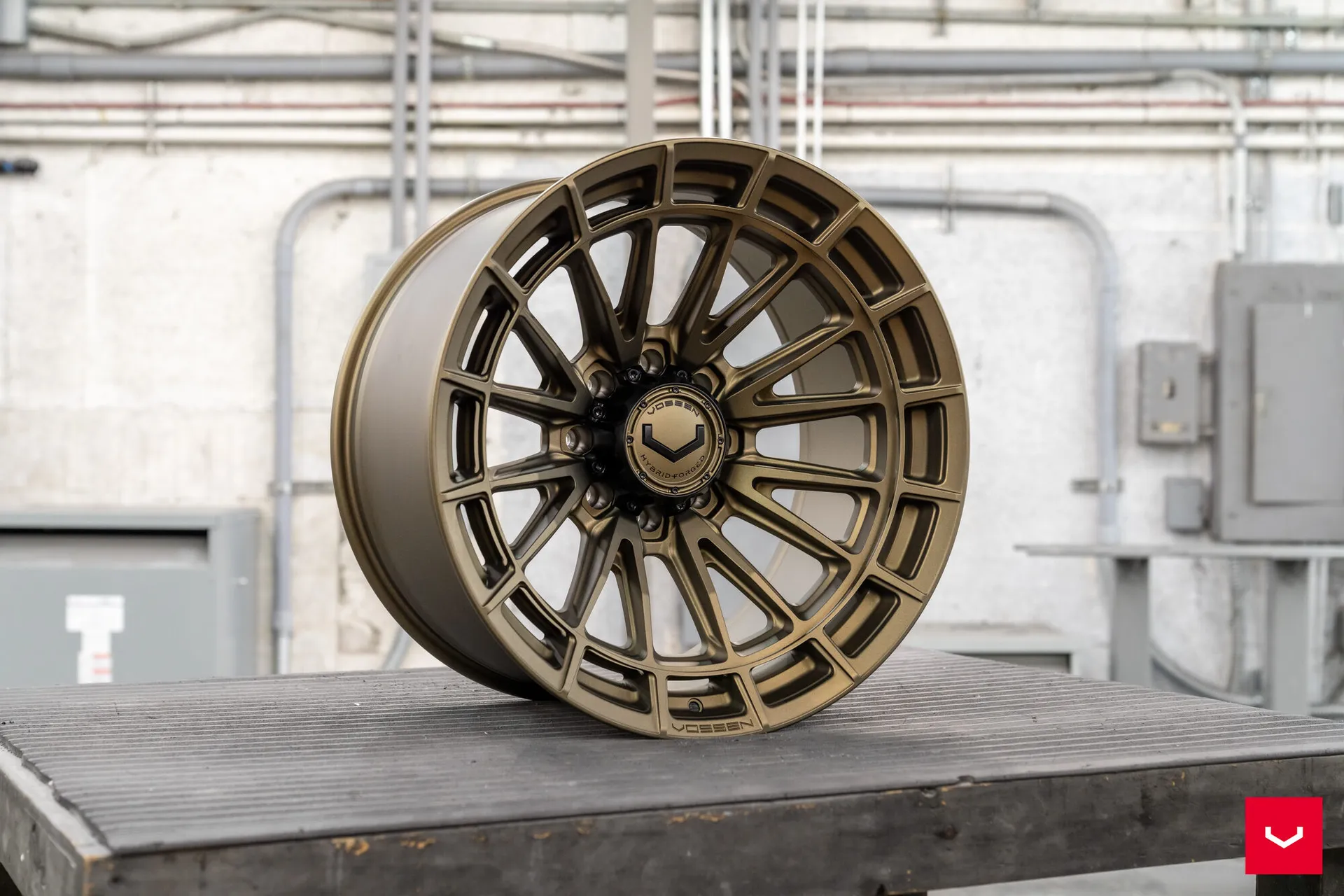 Terra Bronze, 7