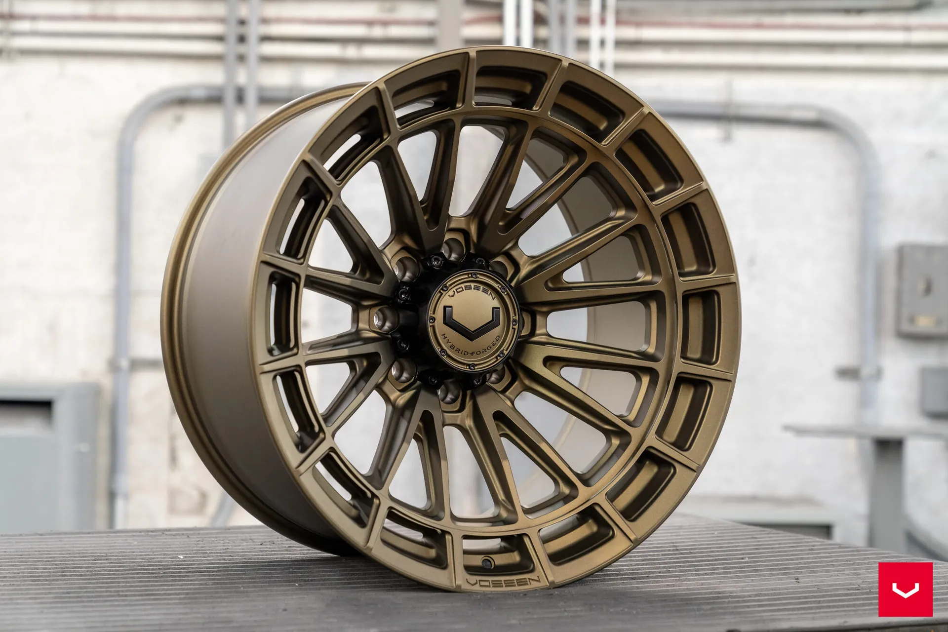 Terra Bronze, 6