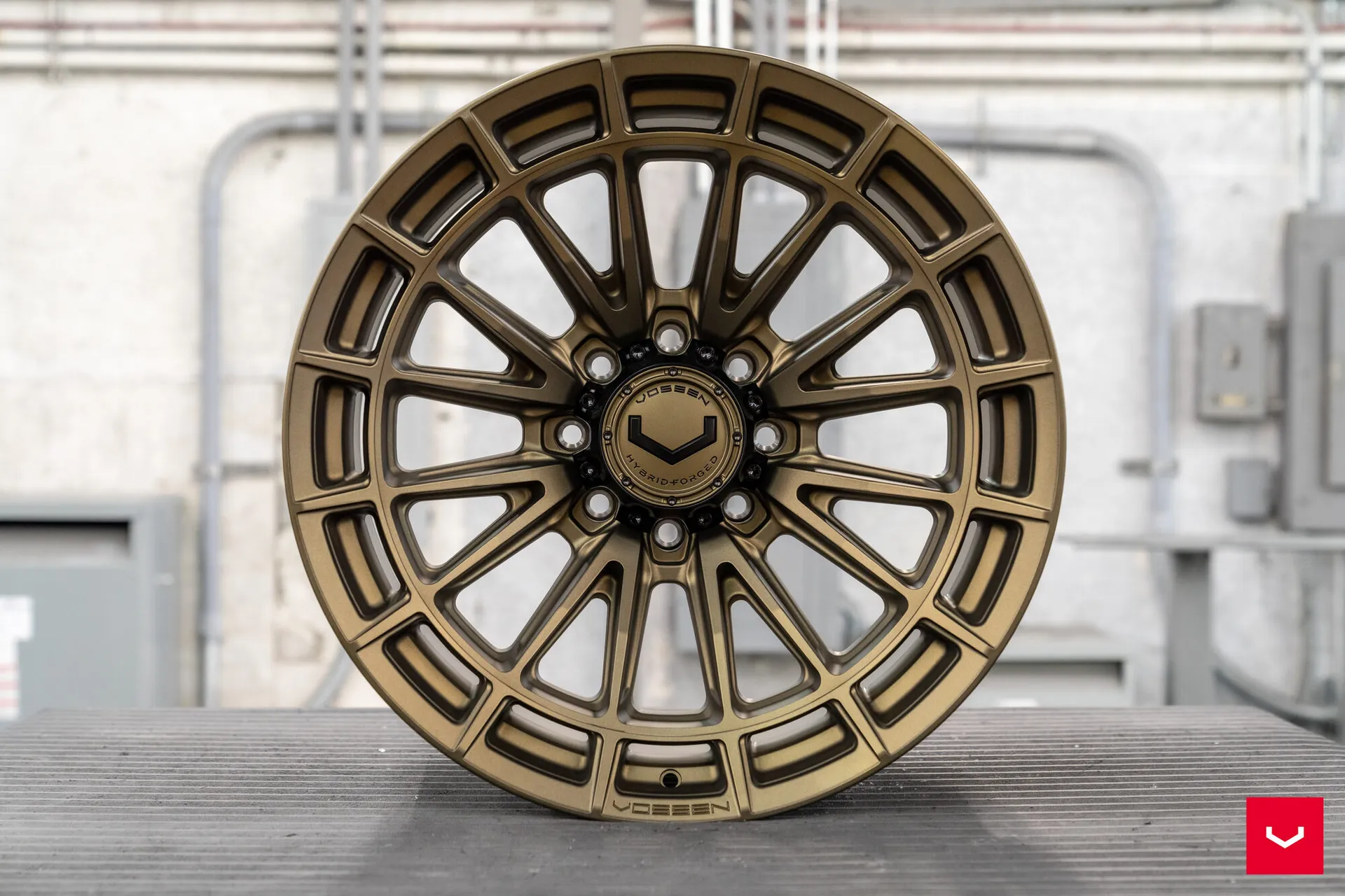 Terra Bronze, 21