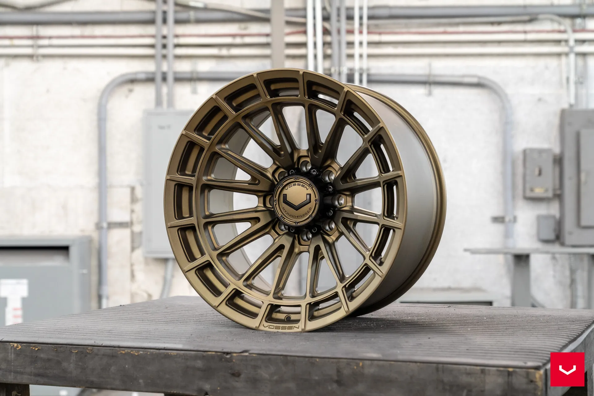 Terra Bronze, 15
