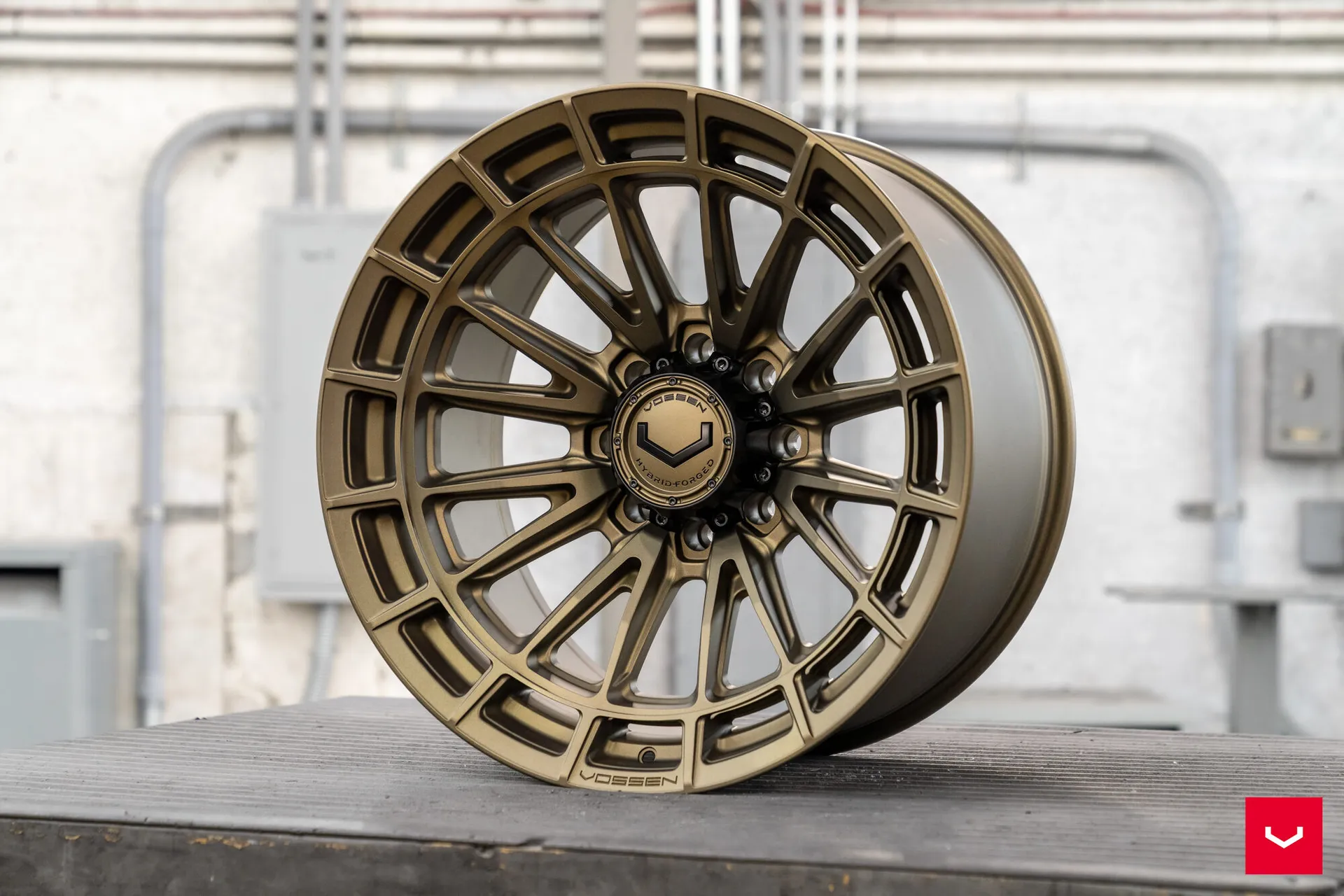 Terra Bronze, 14
