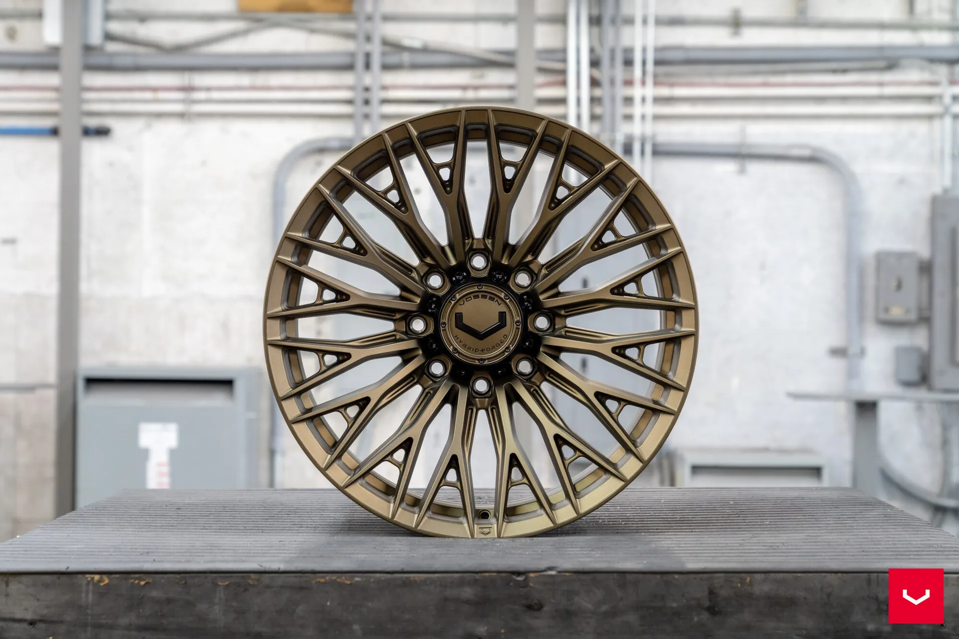 Terra Bronze, 18