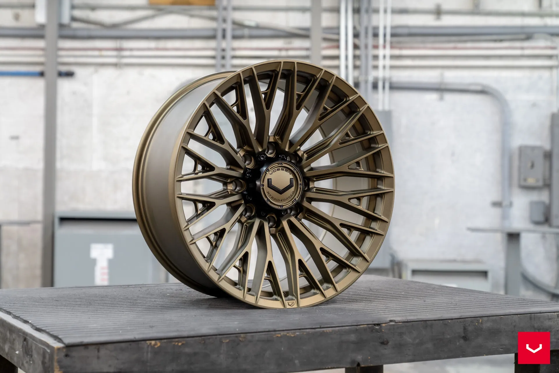 Terra Bronze, 6