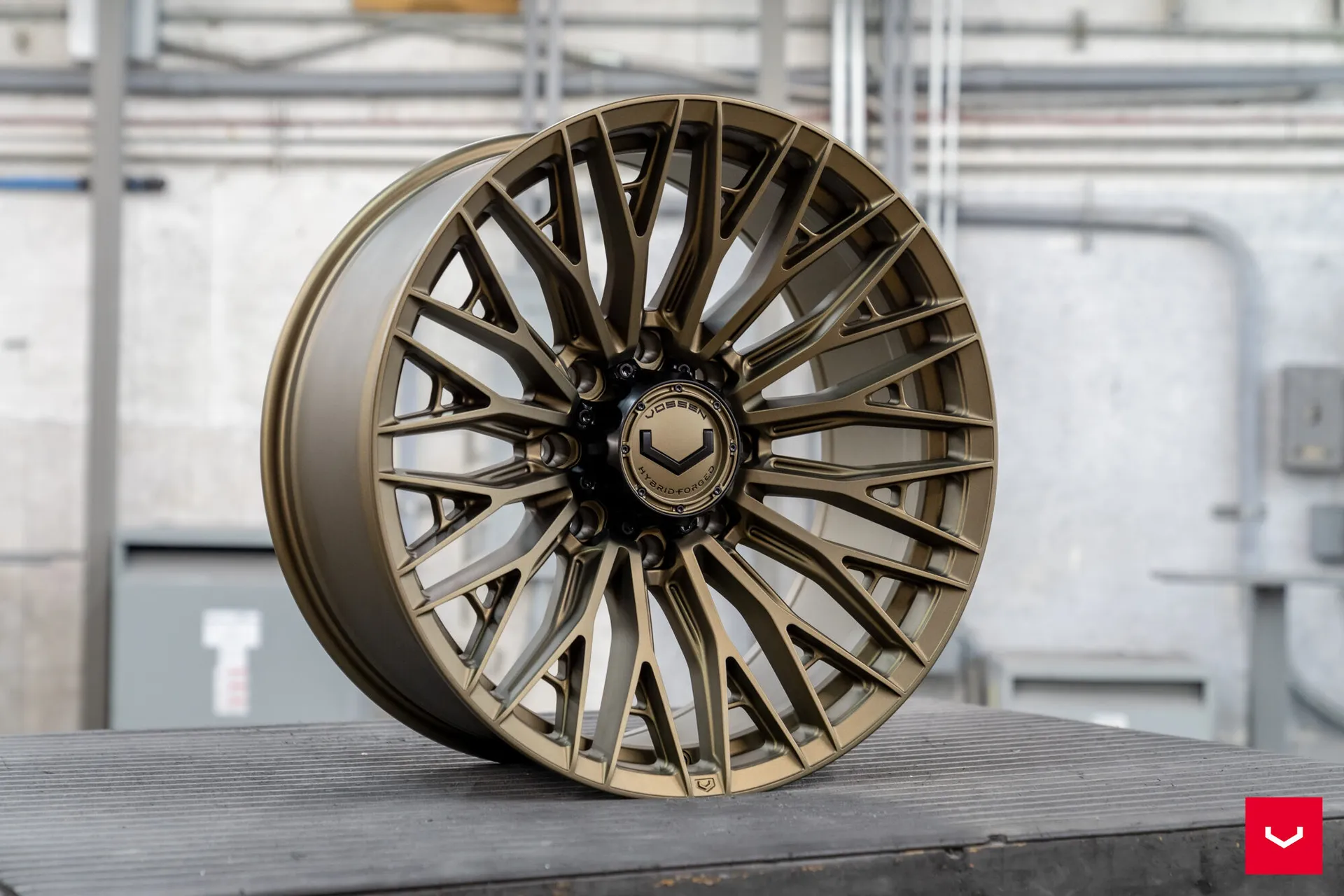 Terra Bronze, 5