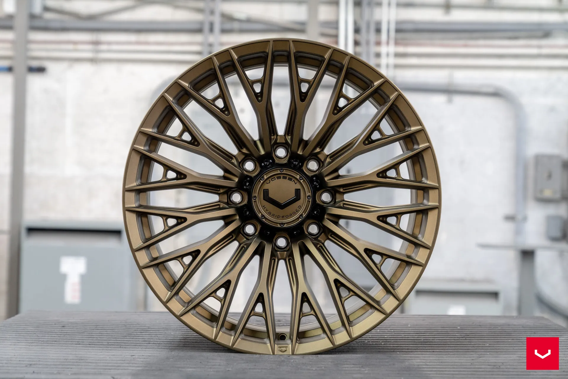 Terra Bronze, 17