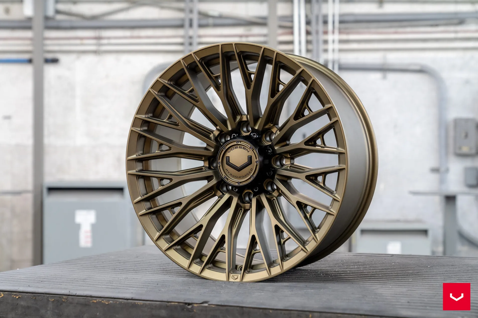 Terra Bronze, 12
