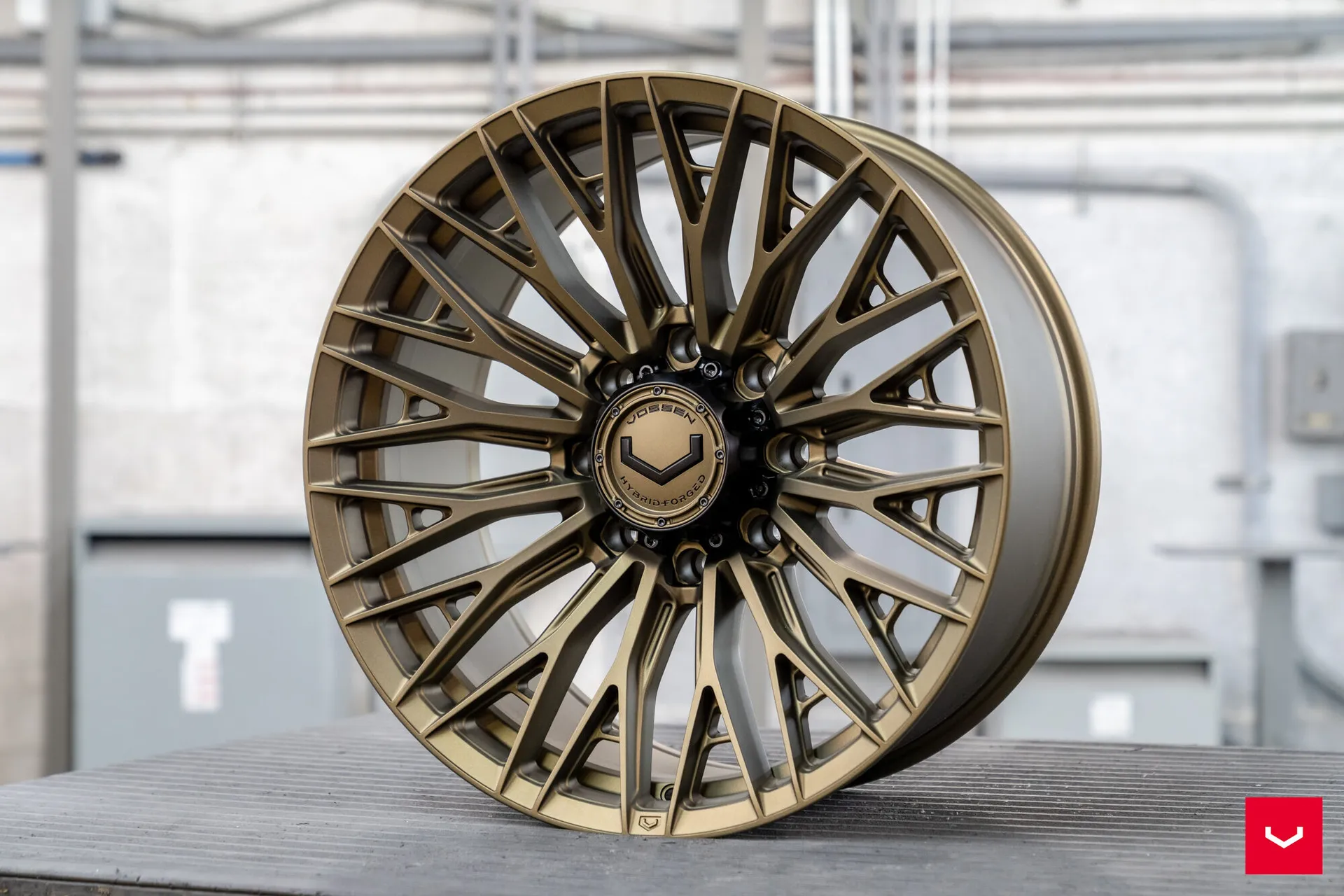 Terra Bronze, 11