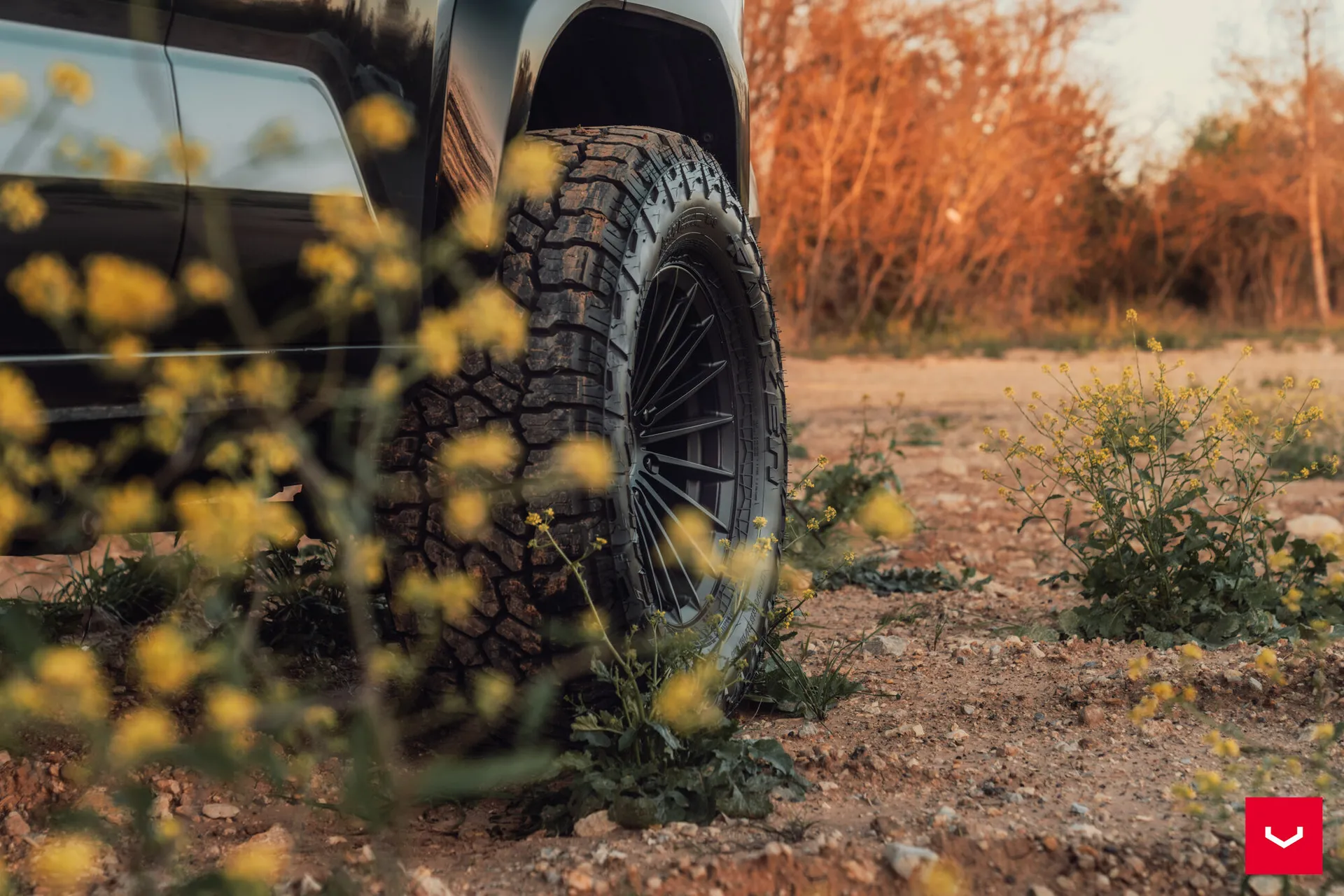 Toyota 4Runner, 6