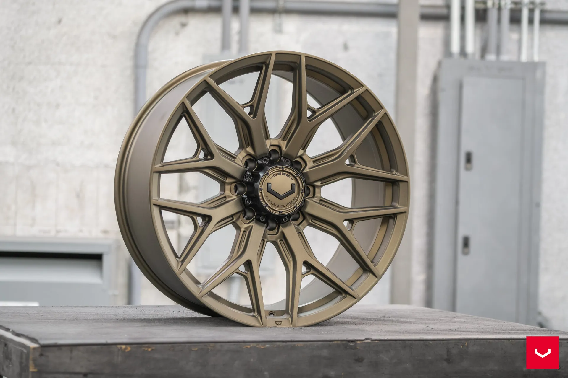 Terra Bronze, 6