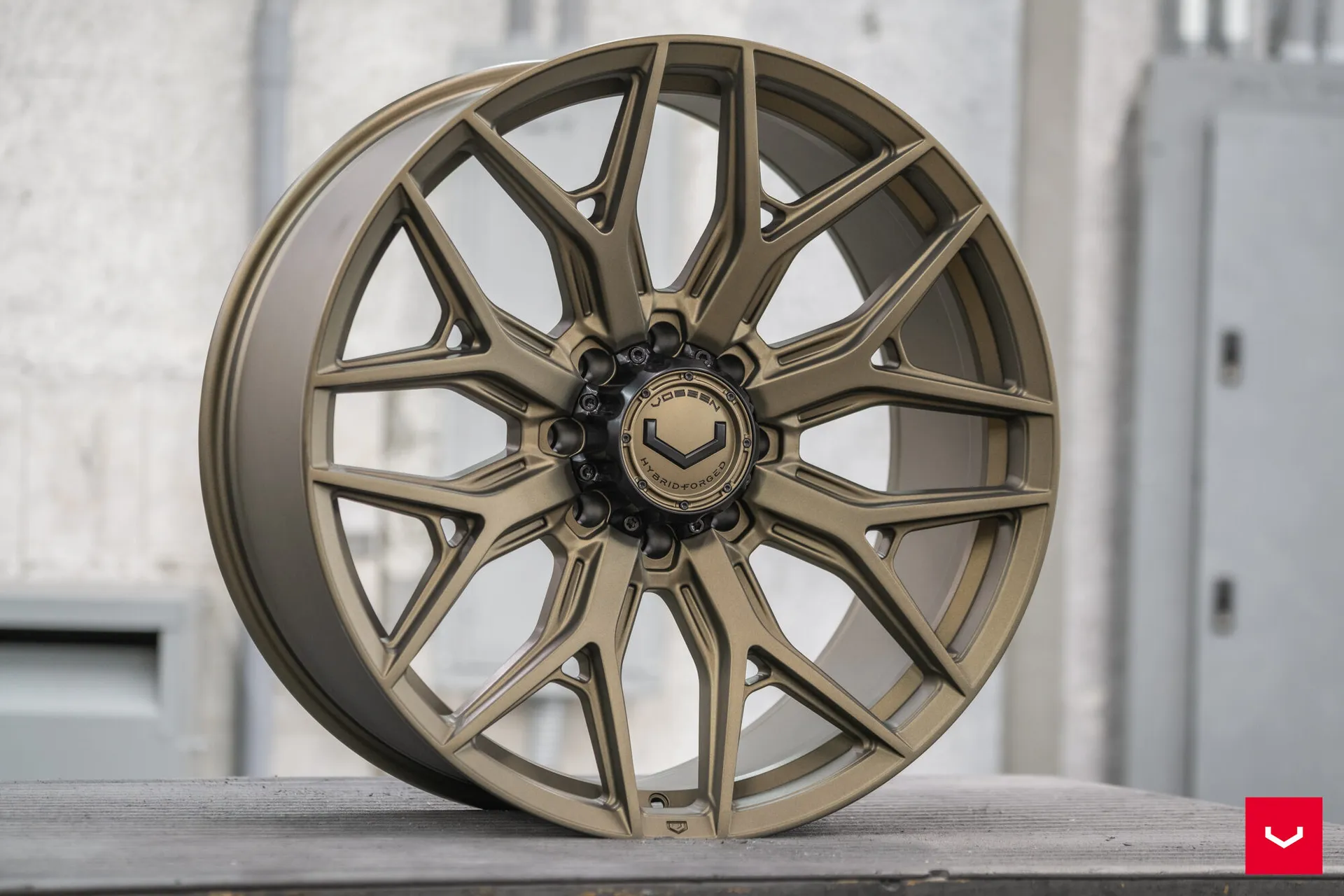 Terra Bronze, 5