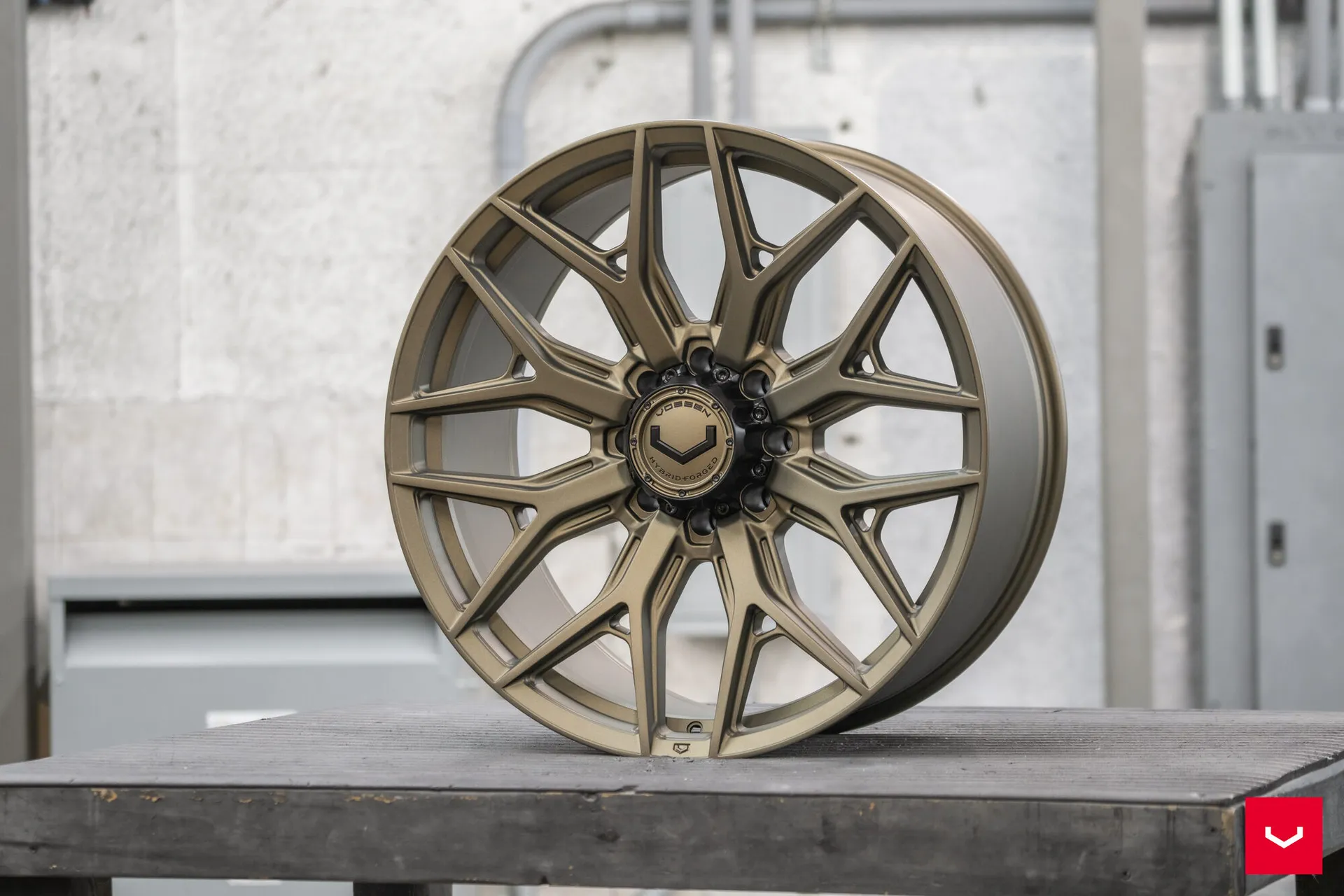 Terra Bronze, 15