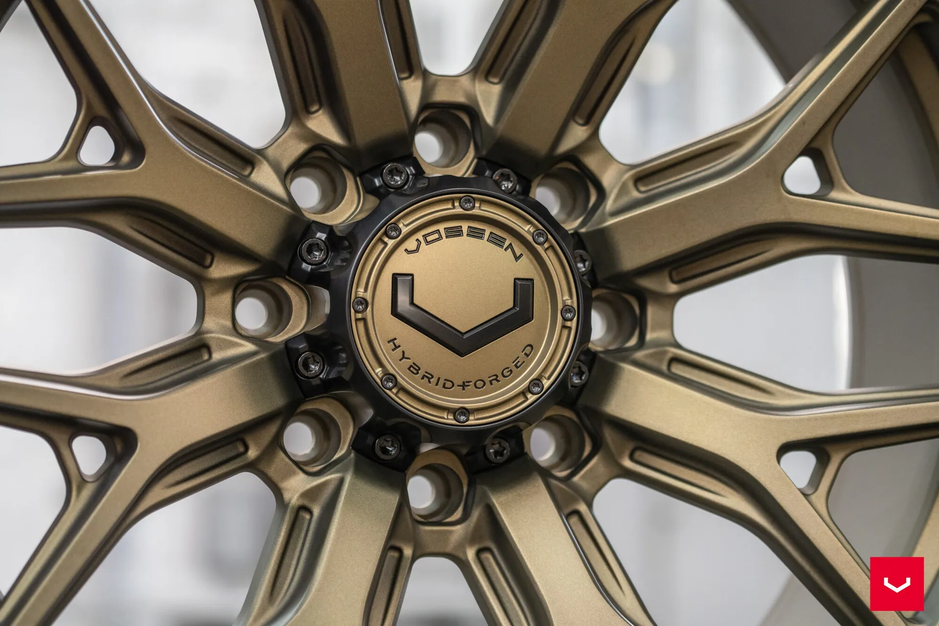 Terra Bronze, 8